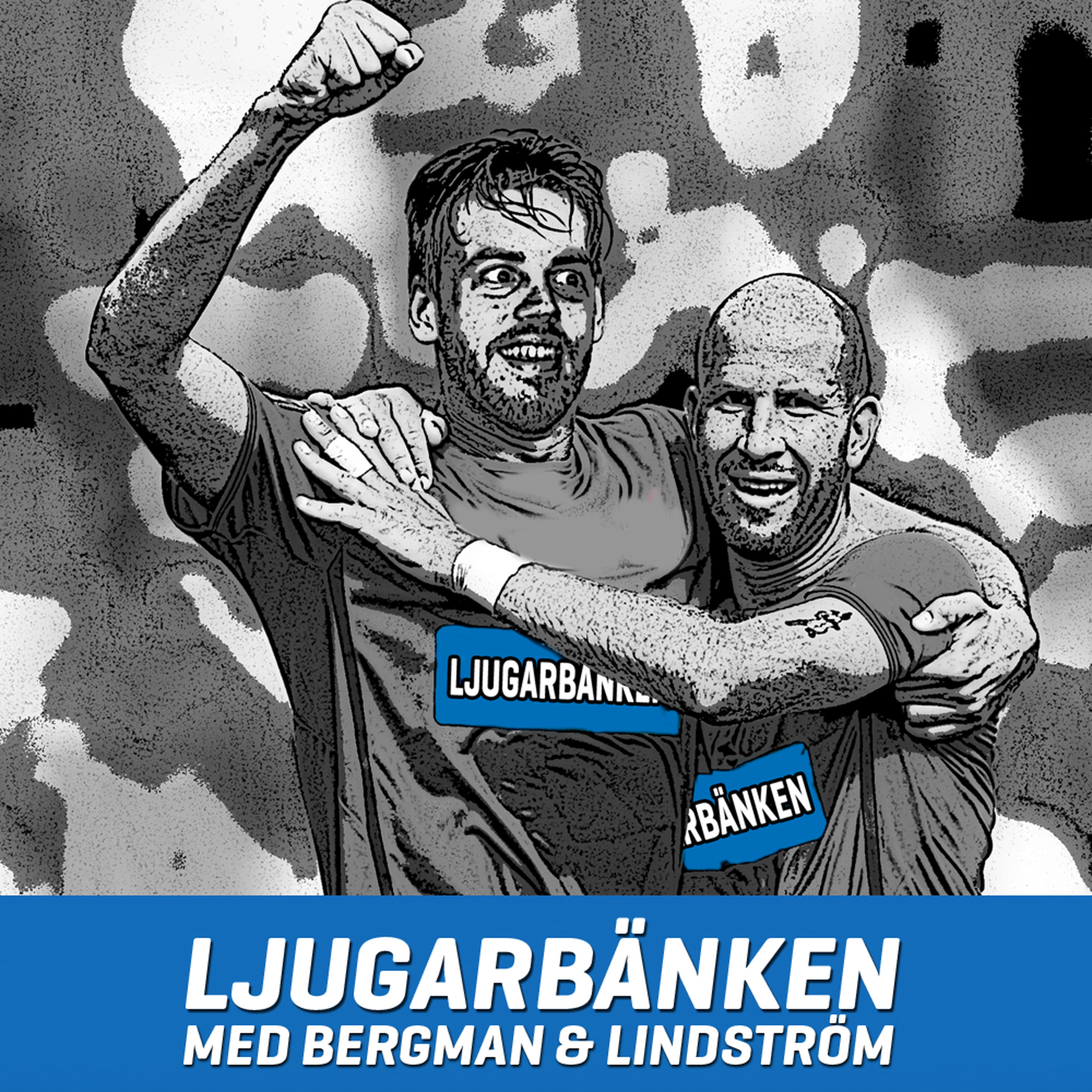 Ljugarbänken - Avsnitt 37 - Hej då, Özcan! episode artwork