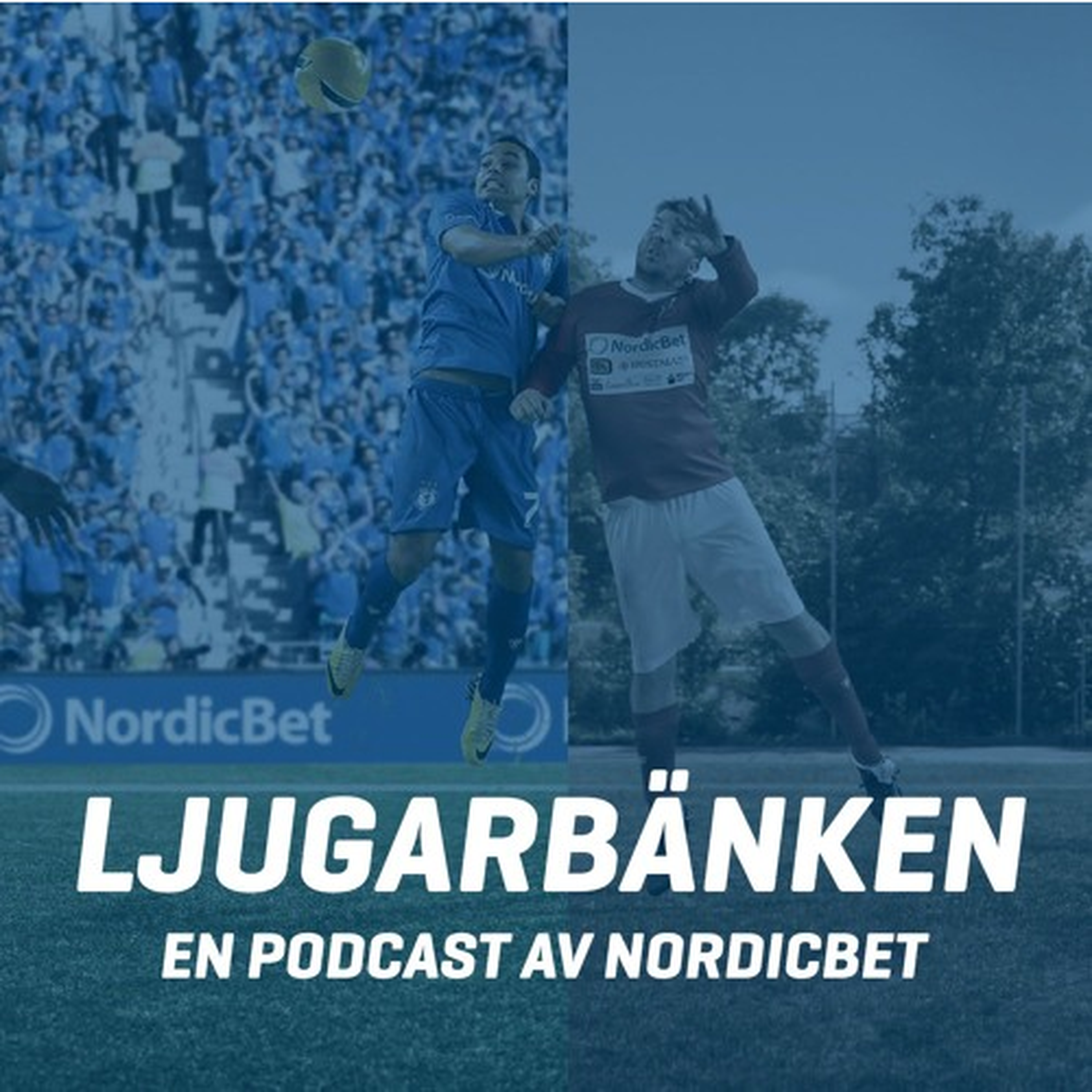 Ljugarbänken - Avsnitt 36 - Tom Pettysson episode artwork