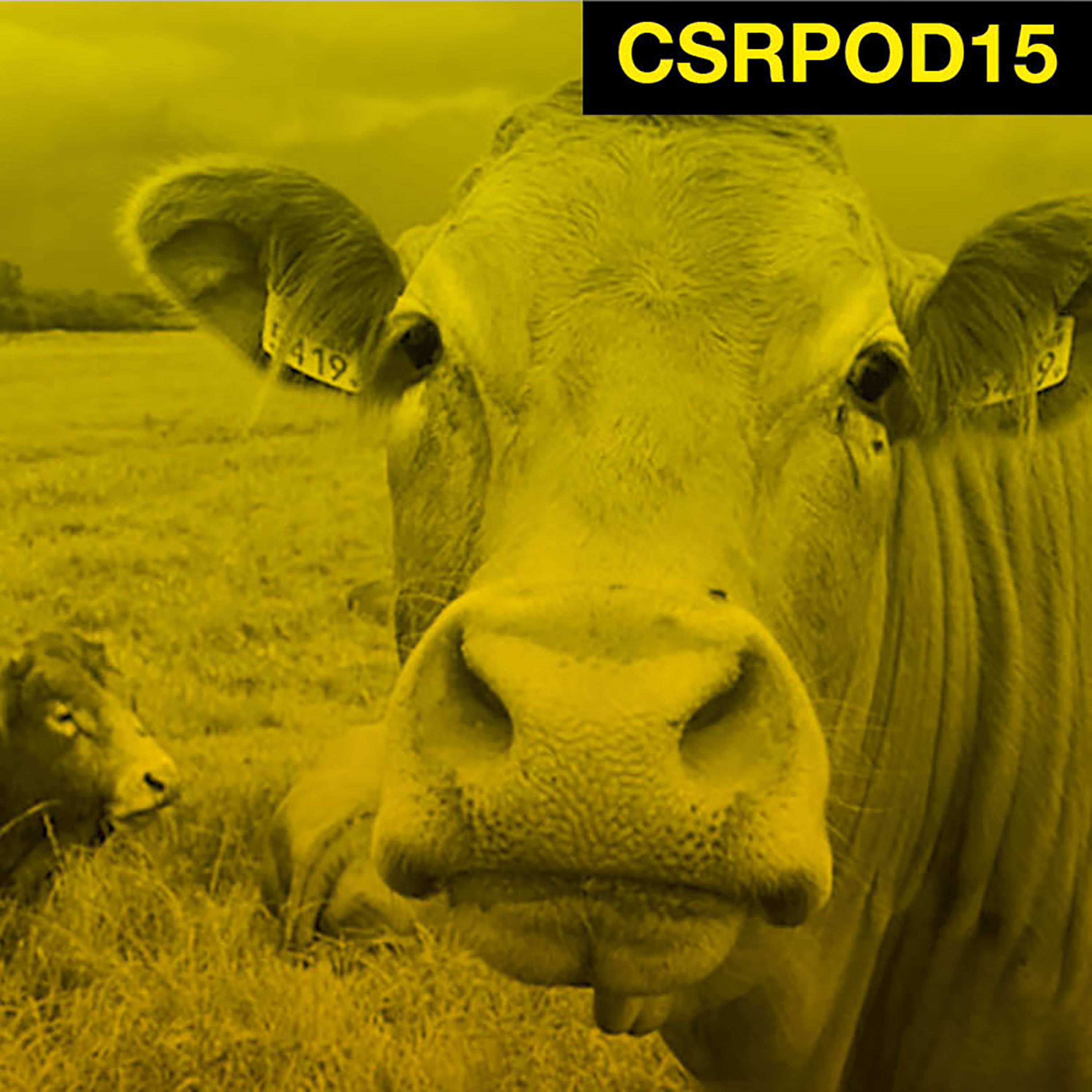 csrpod\'s podcast