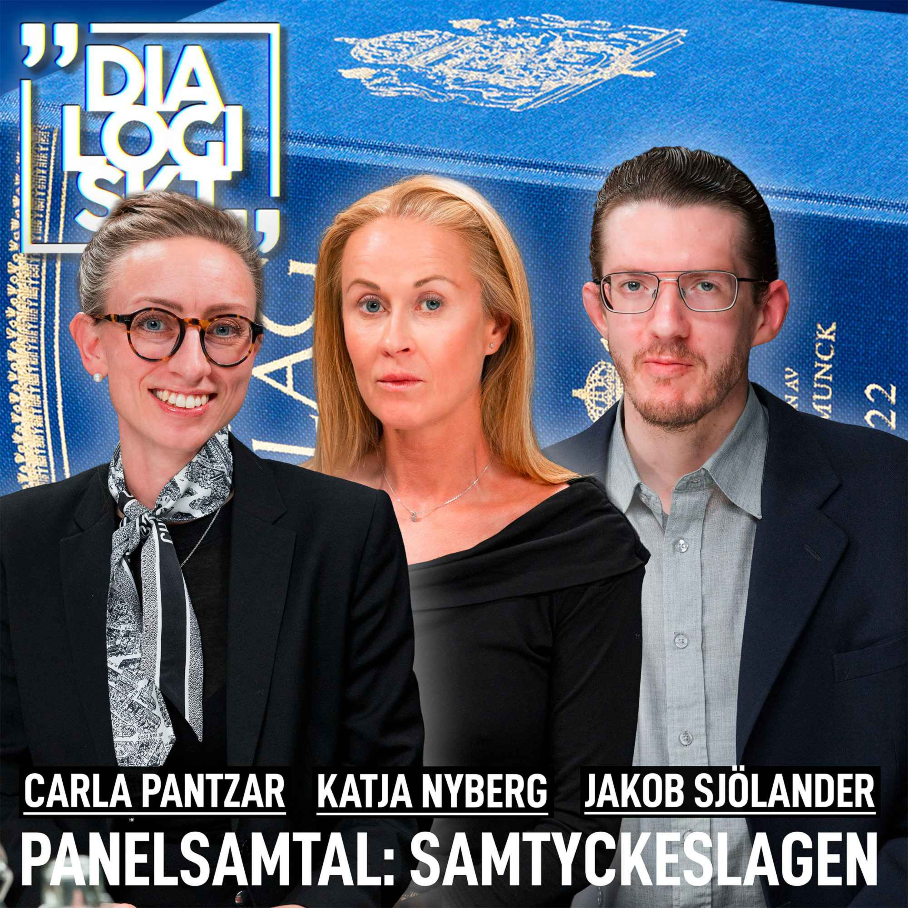 DLGSKT SPECIAL: Panelsamtal- Samtyckeslagen episode artwork