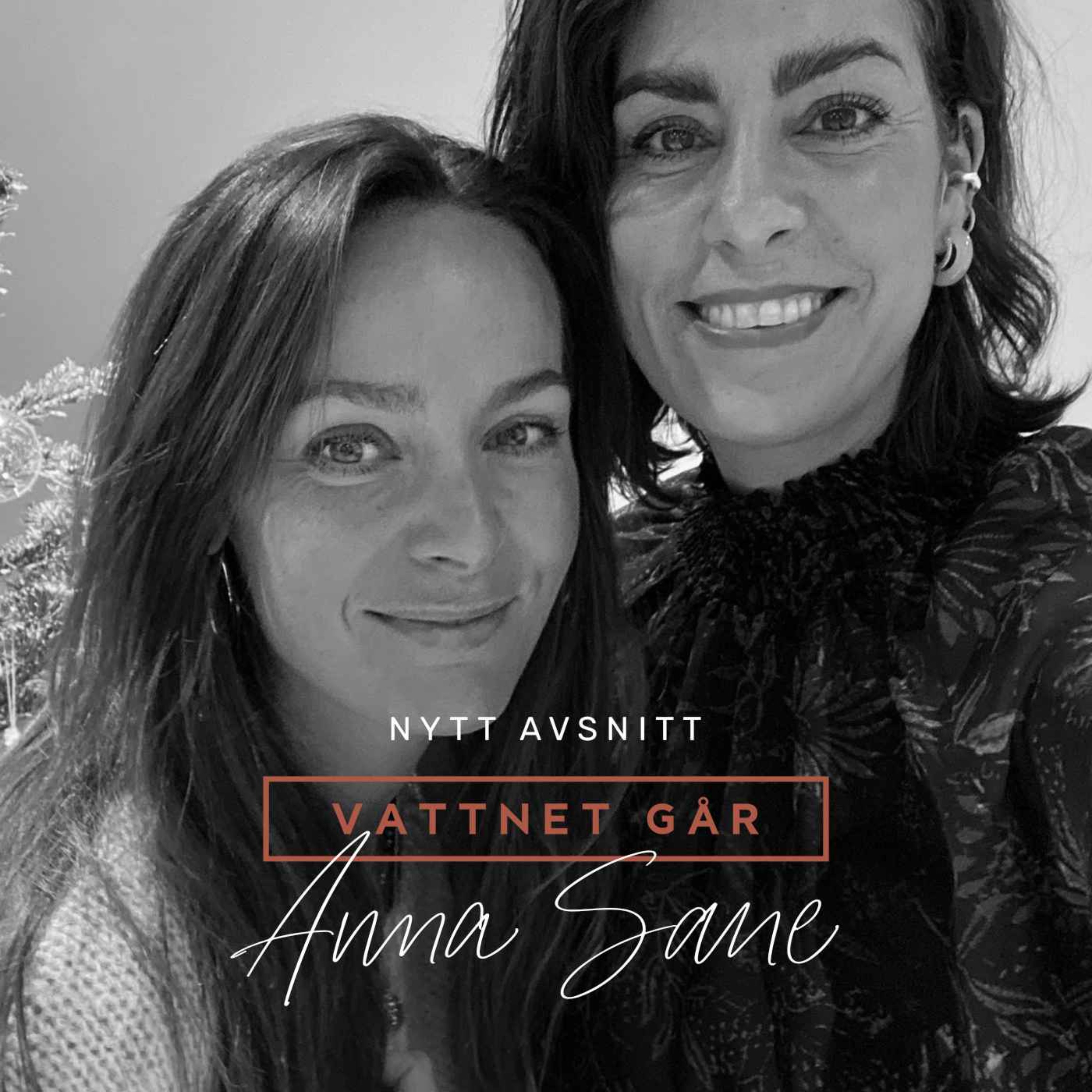 397. VG: Anna Sane "Ett mysterium, enligt IVF-läkaren"