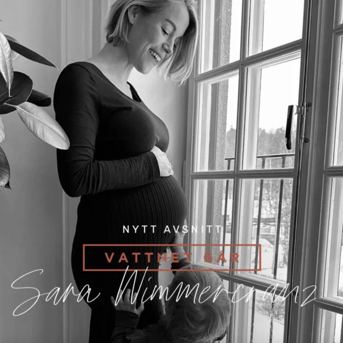 716. Vattnet Går - Sara Wimmercranz, 