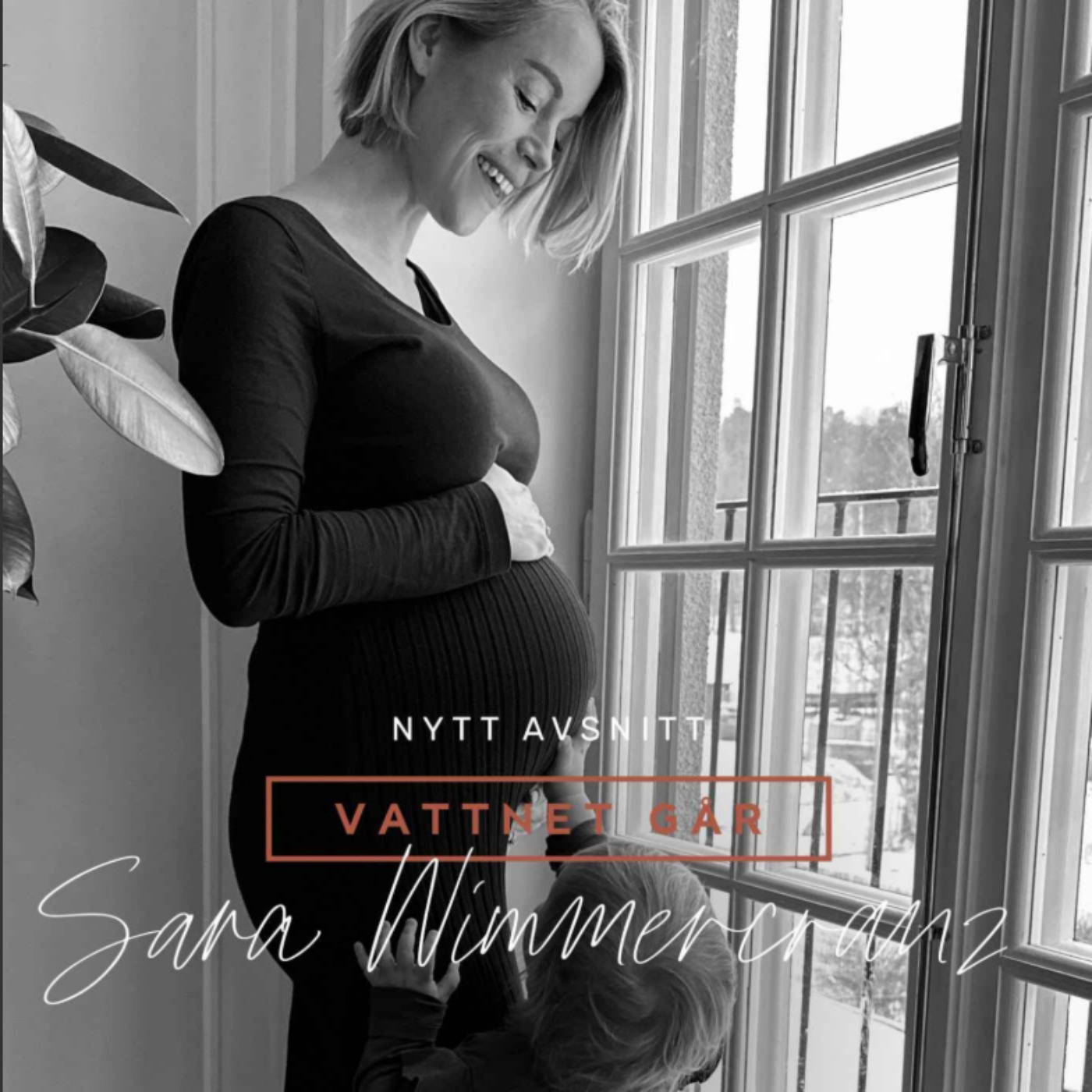 867. Vattnet Går - Sara Wimmercranz, "Vi hade gett upp - nu har jag fyra barn!"