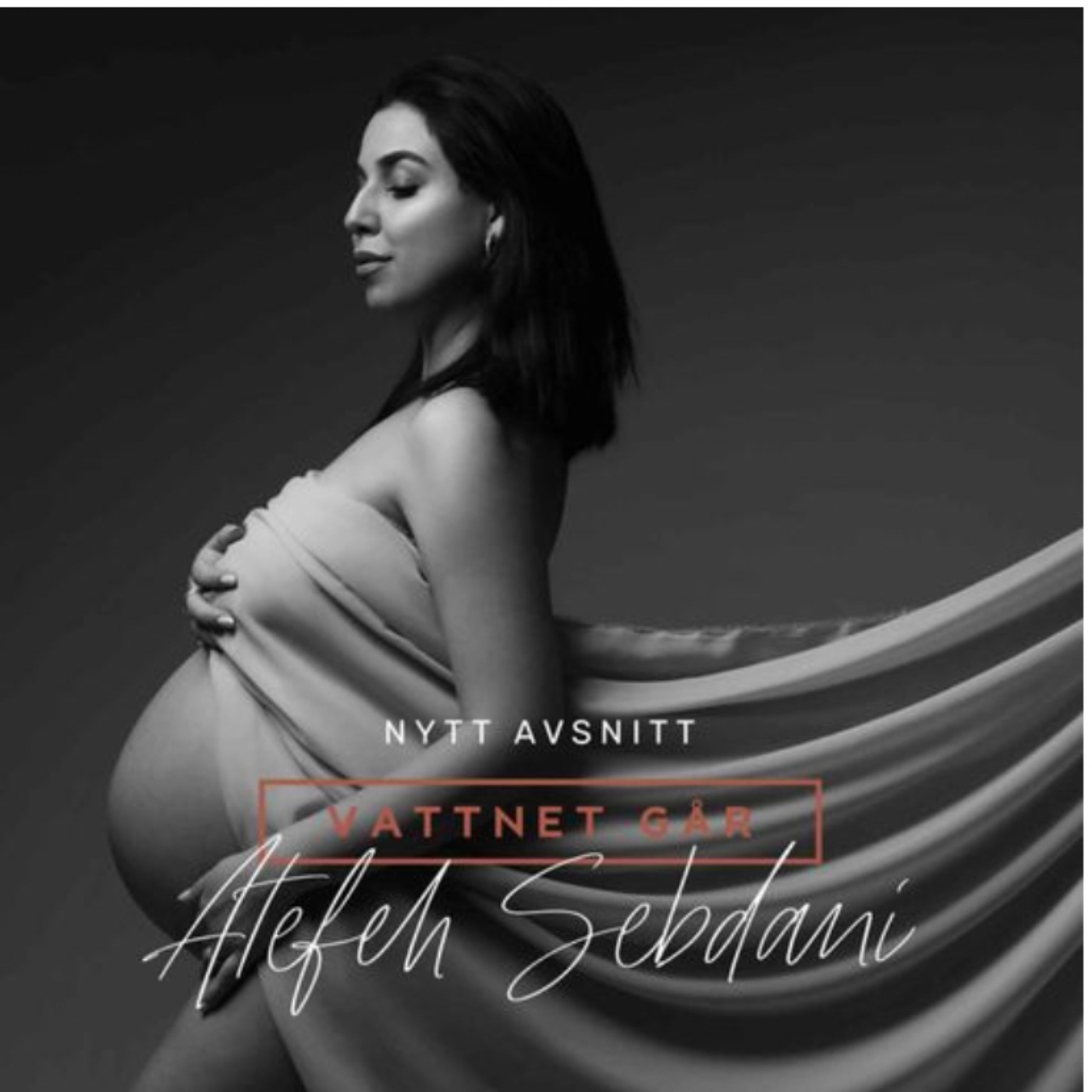 1005: Vattnet Går: Atefeh Sebdani "Mina barn hjälpte mig läka"