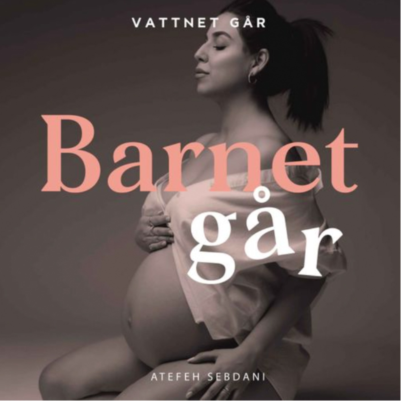 1006: Barnet Går: Atefeh Sebdani "Jag var livrädd över att bli förälder"