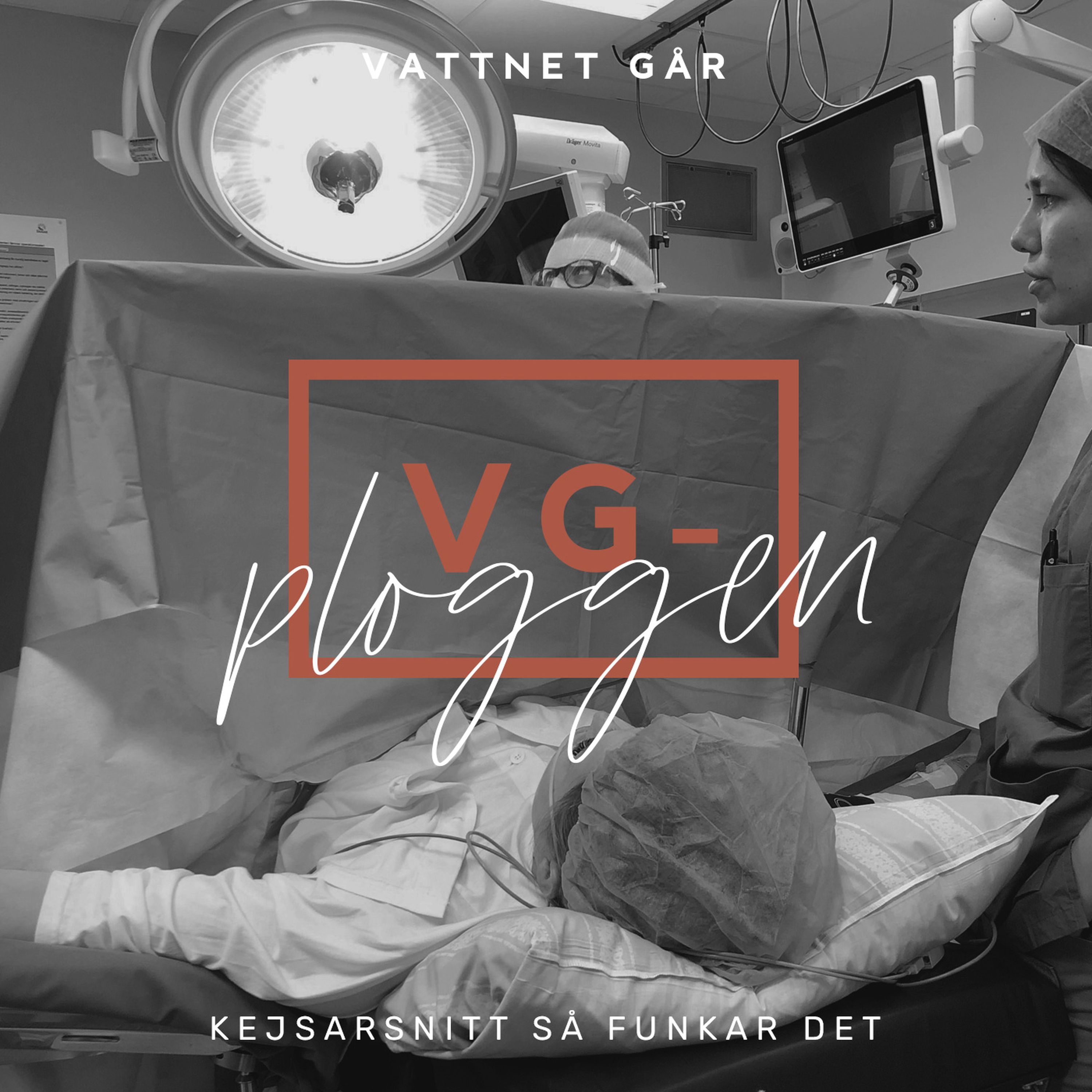 261. VG-Ploggen - 