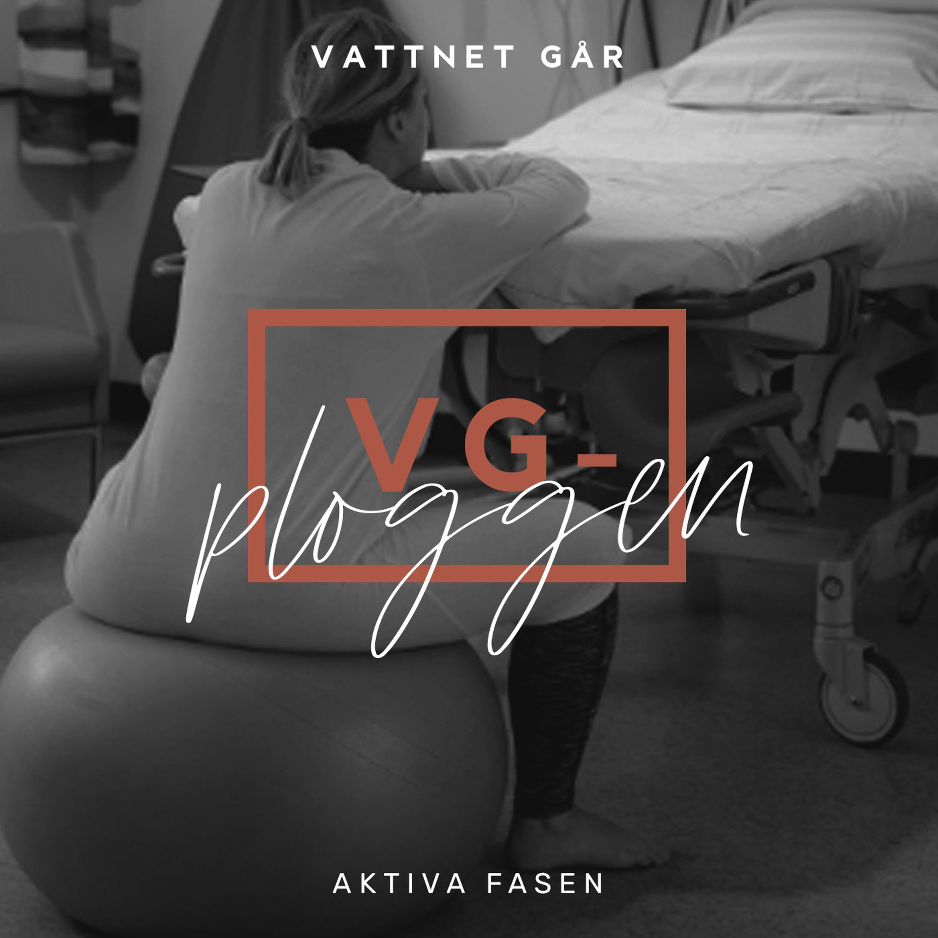 226. VG-ploggen - "Andas, du är nu i den Aktiva Fasen"