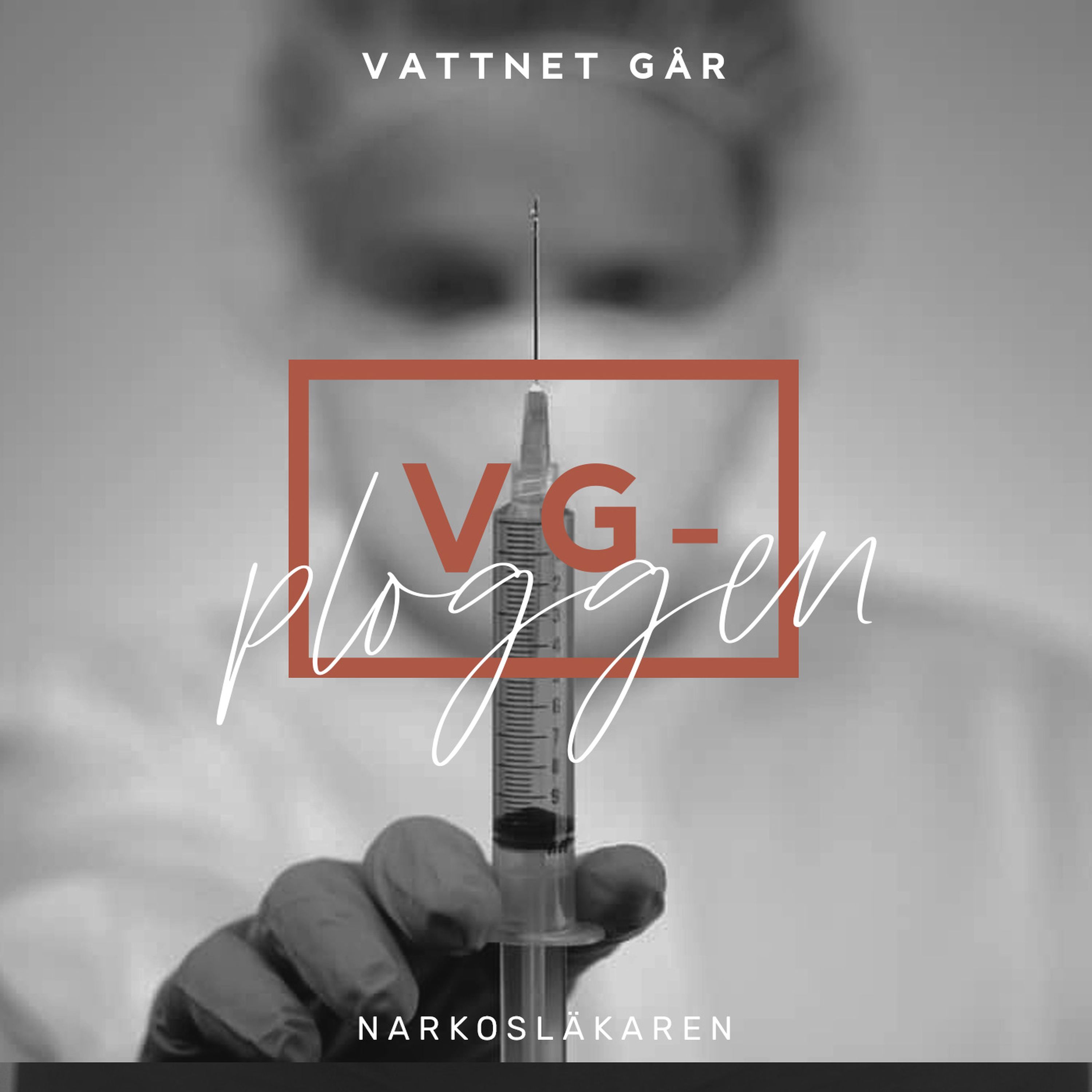 196. Vg-ploggen - 