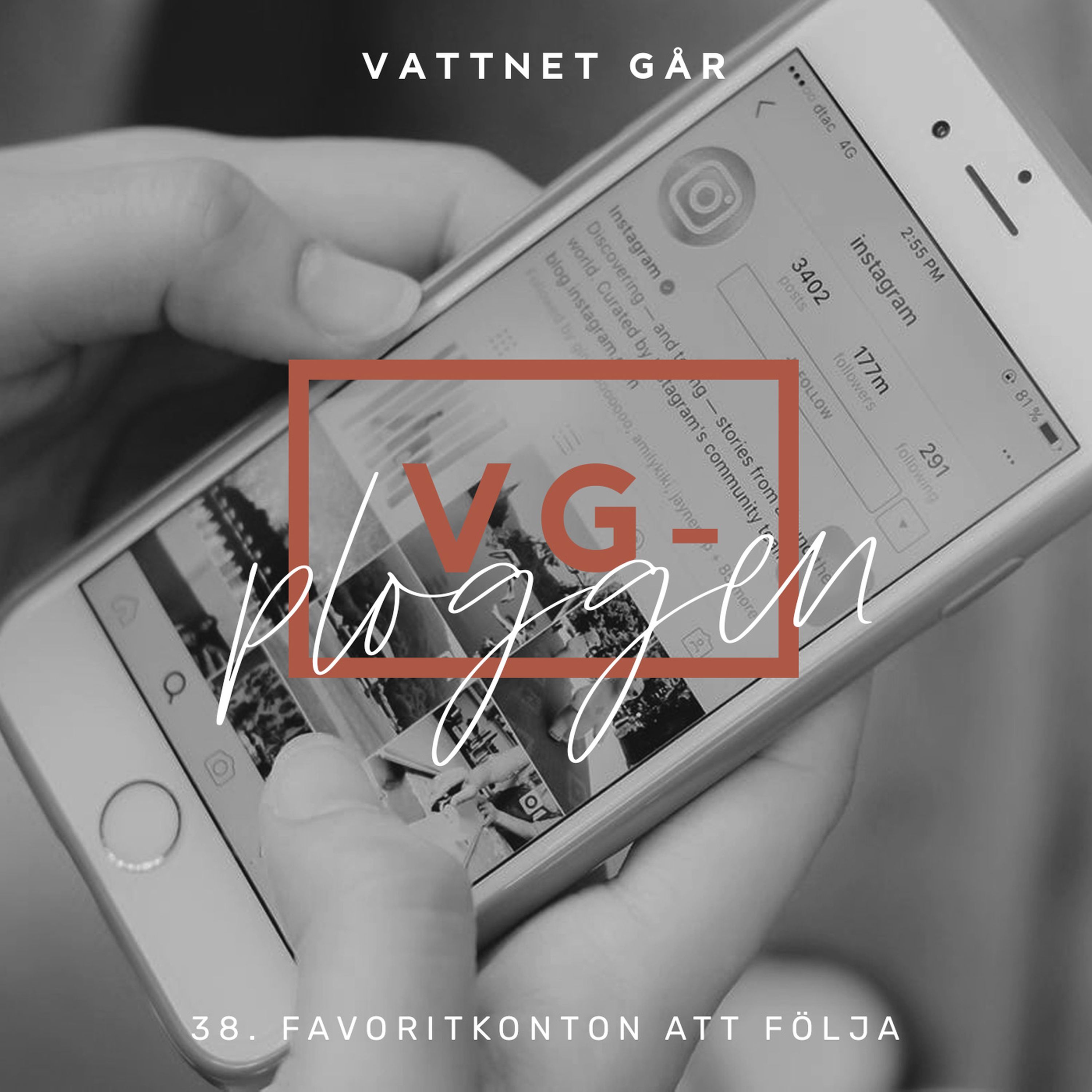 169. VG-ploggen - 