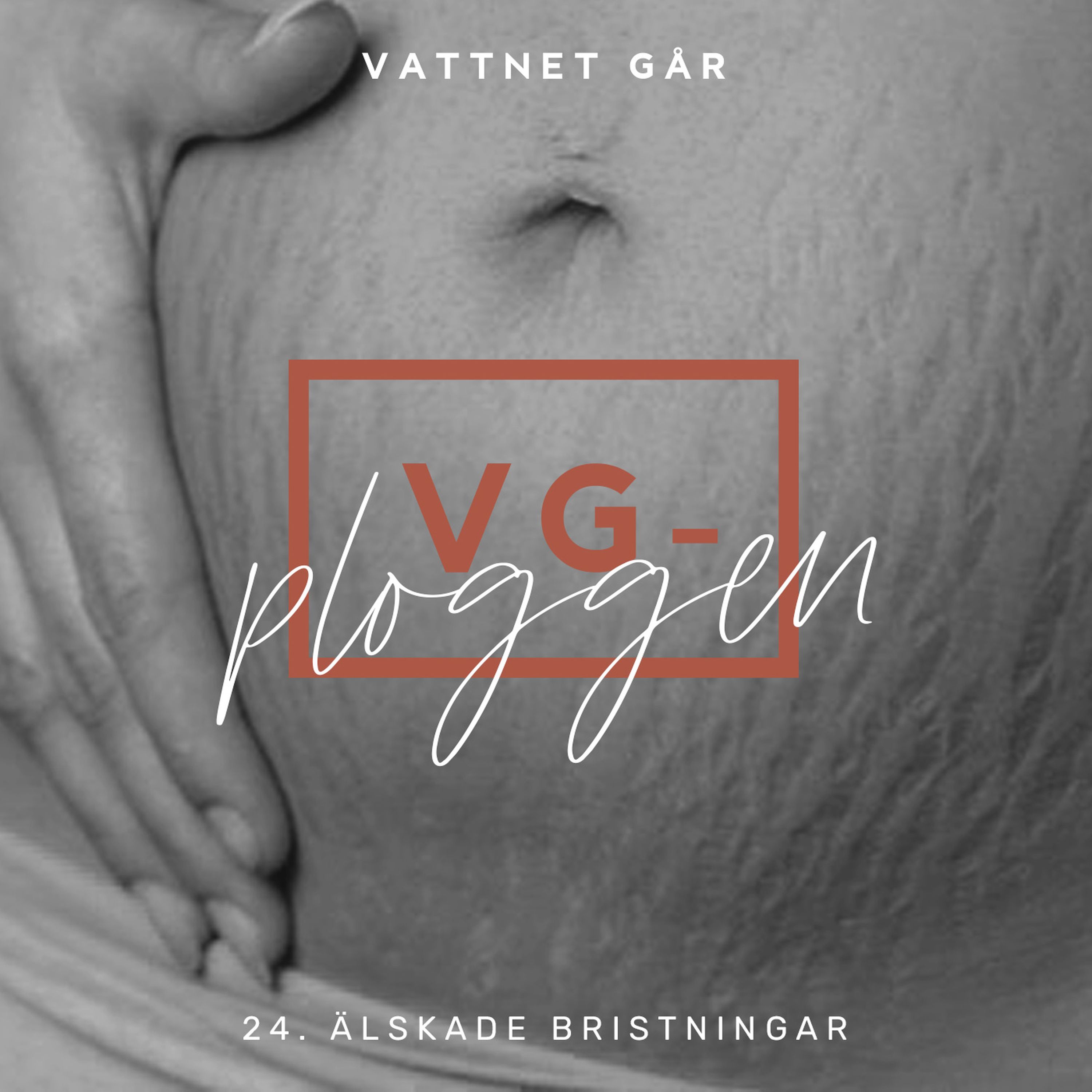 127. VG-ploggen, 