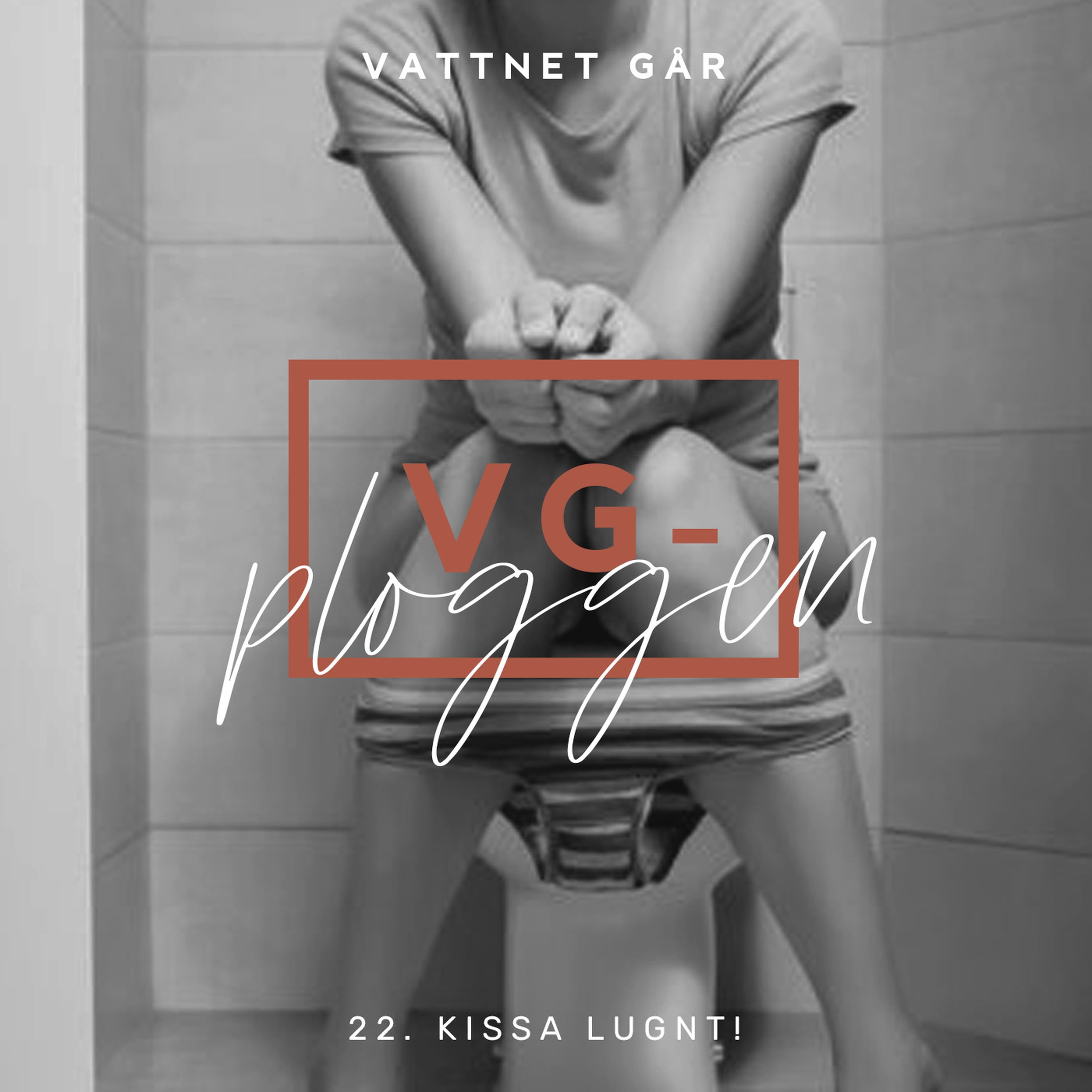 123. VG-ploggen, Kissa lugnt!