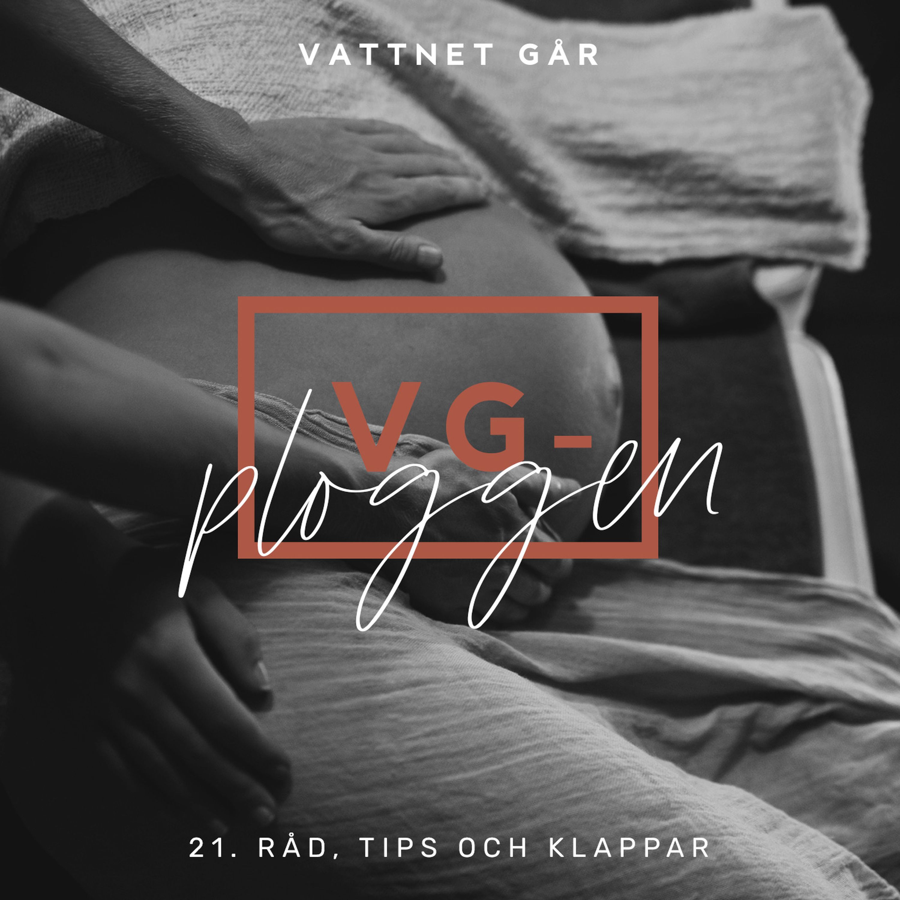 121. VG-ploggen, "Hand's off min gravidmage!"