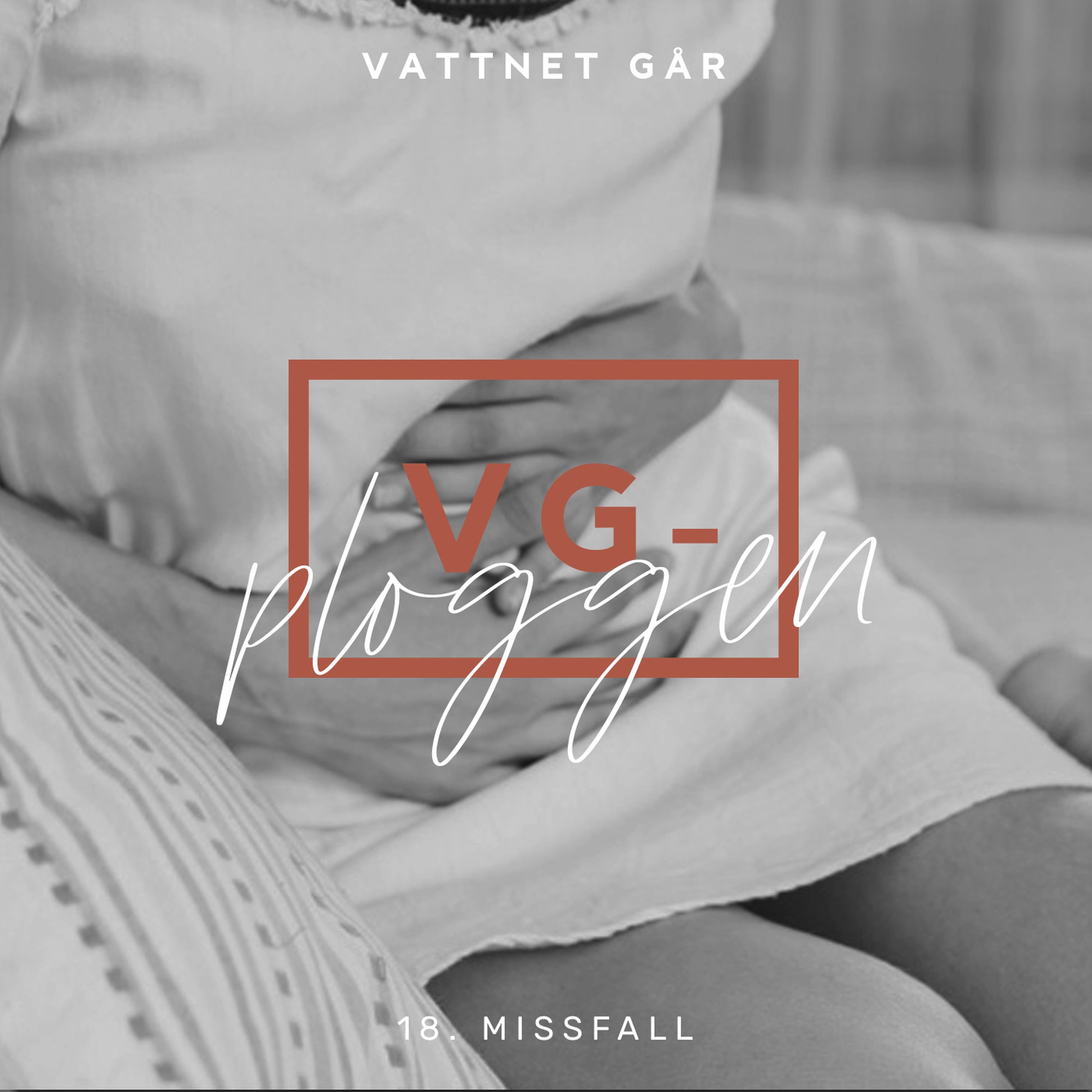 113. VG-ploggen, Om Missfall