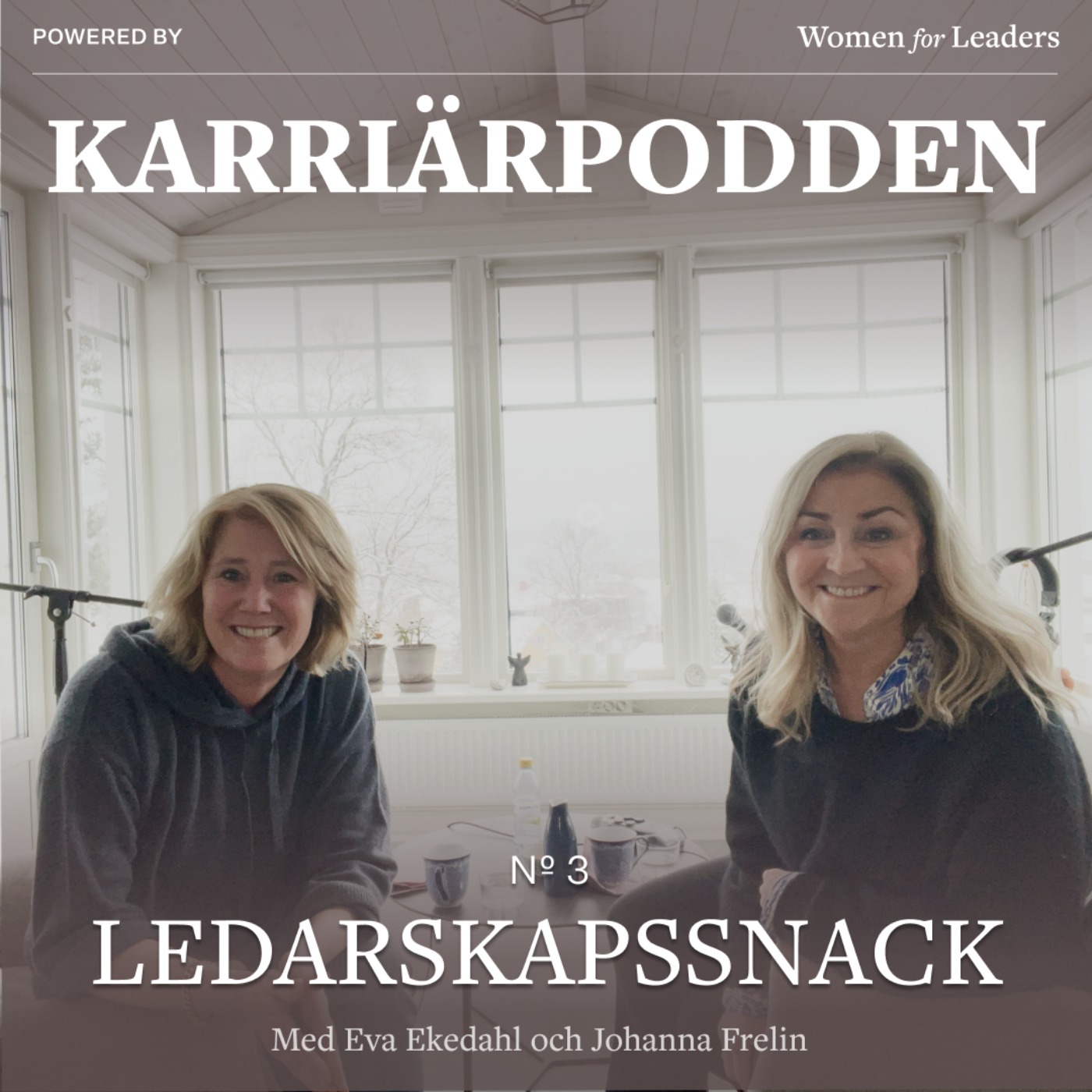 Karriärpodden