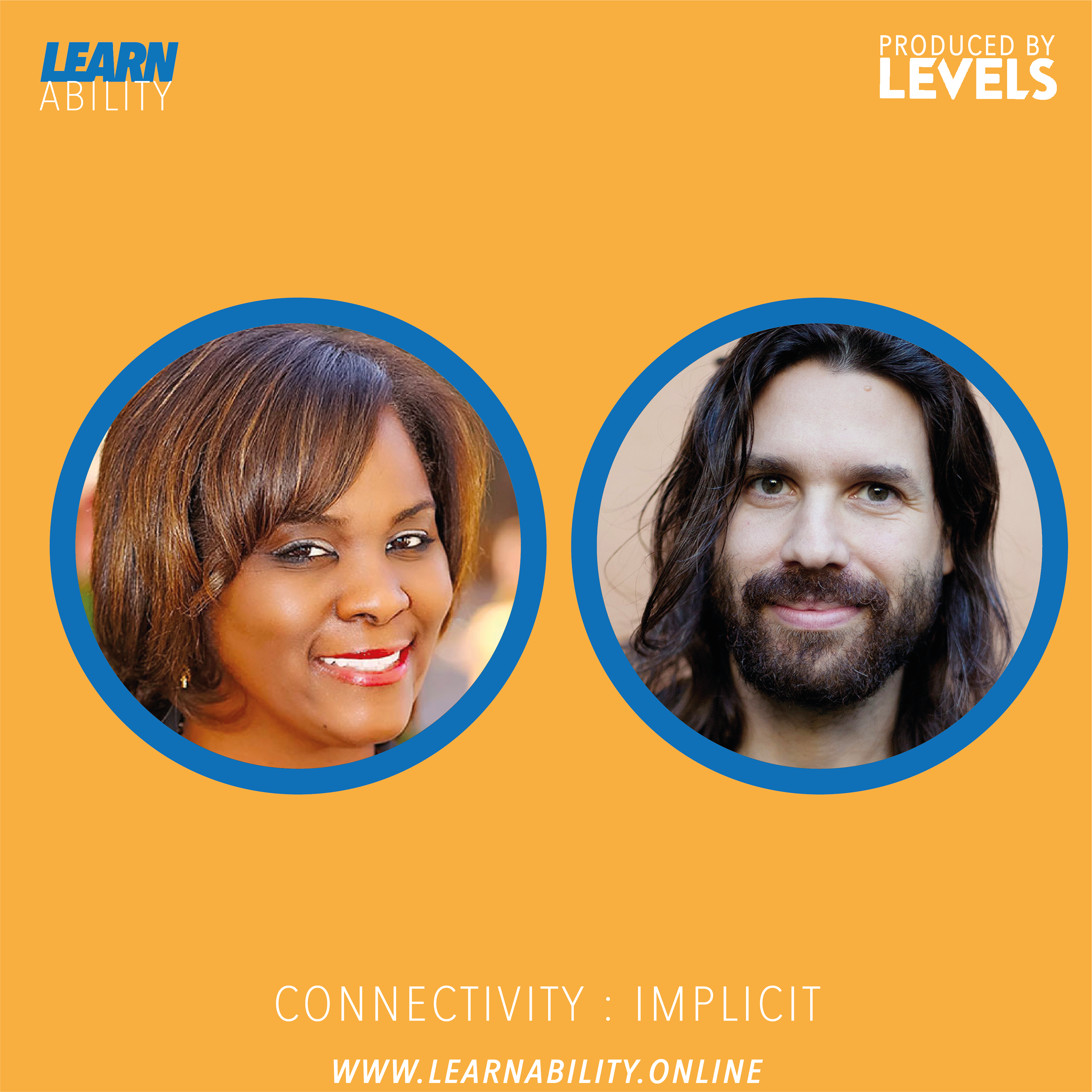 Learnability