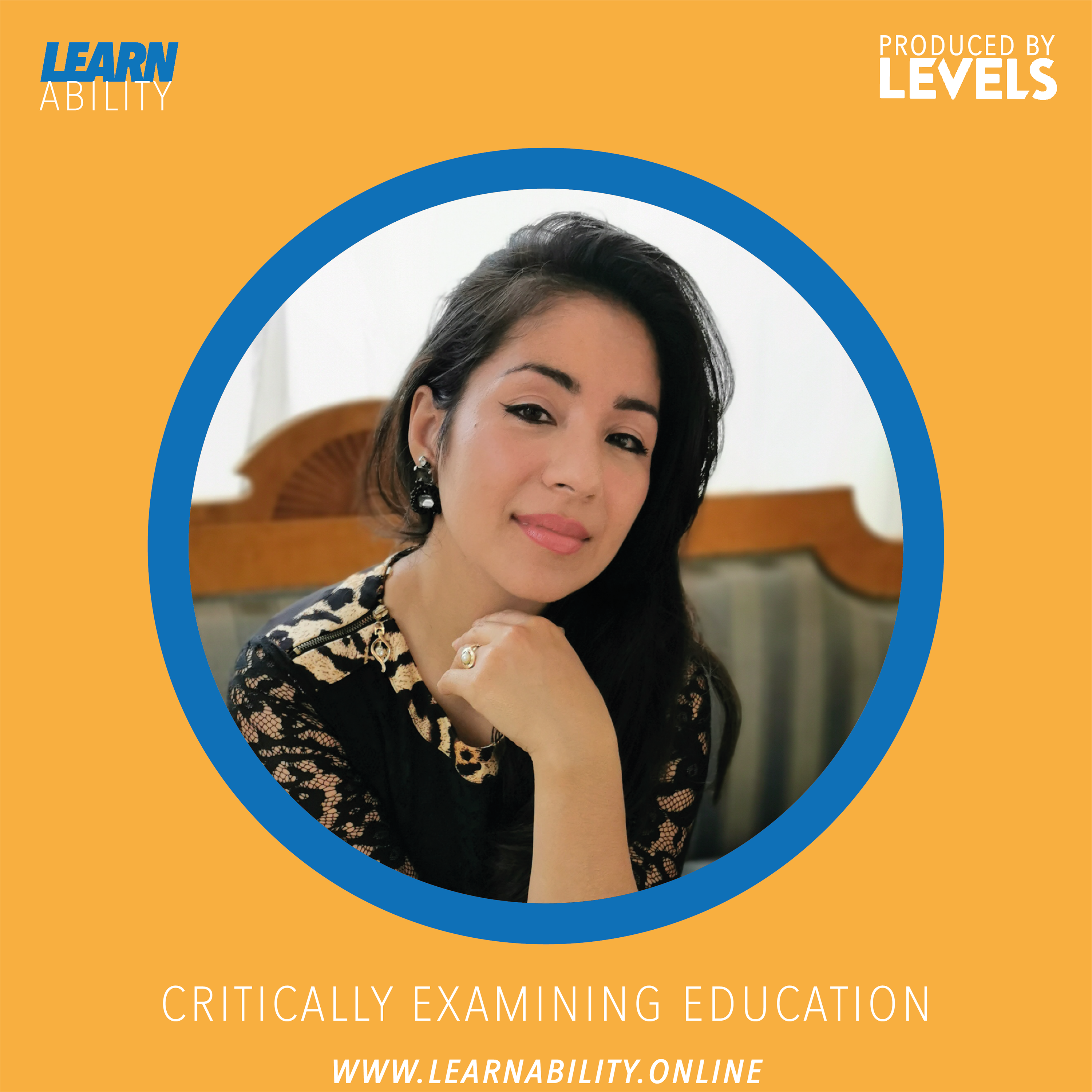 Learnability