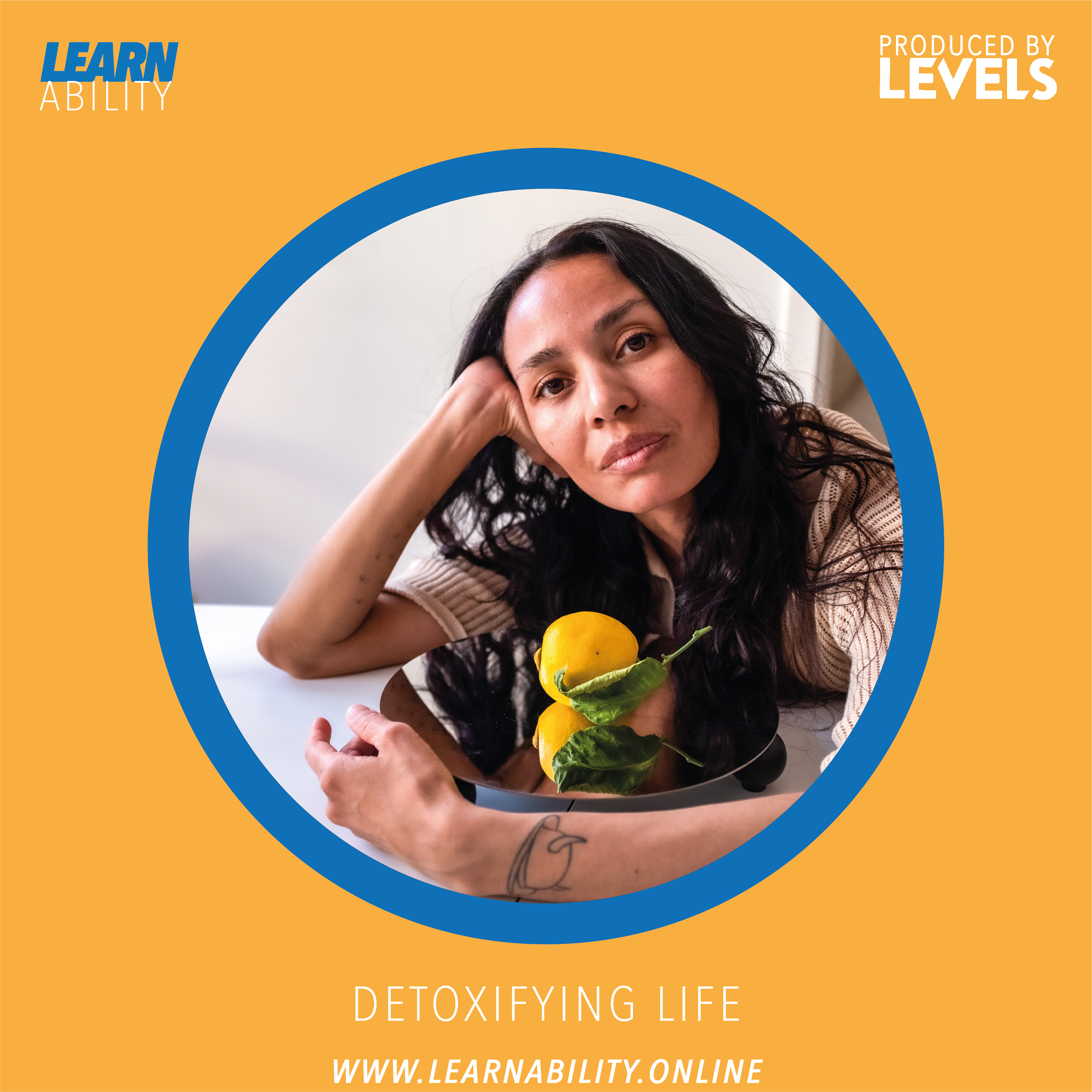 Learnability