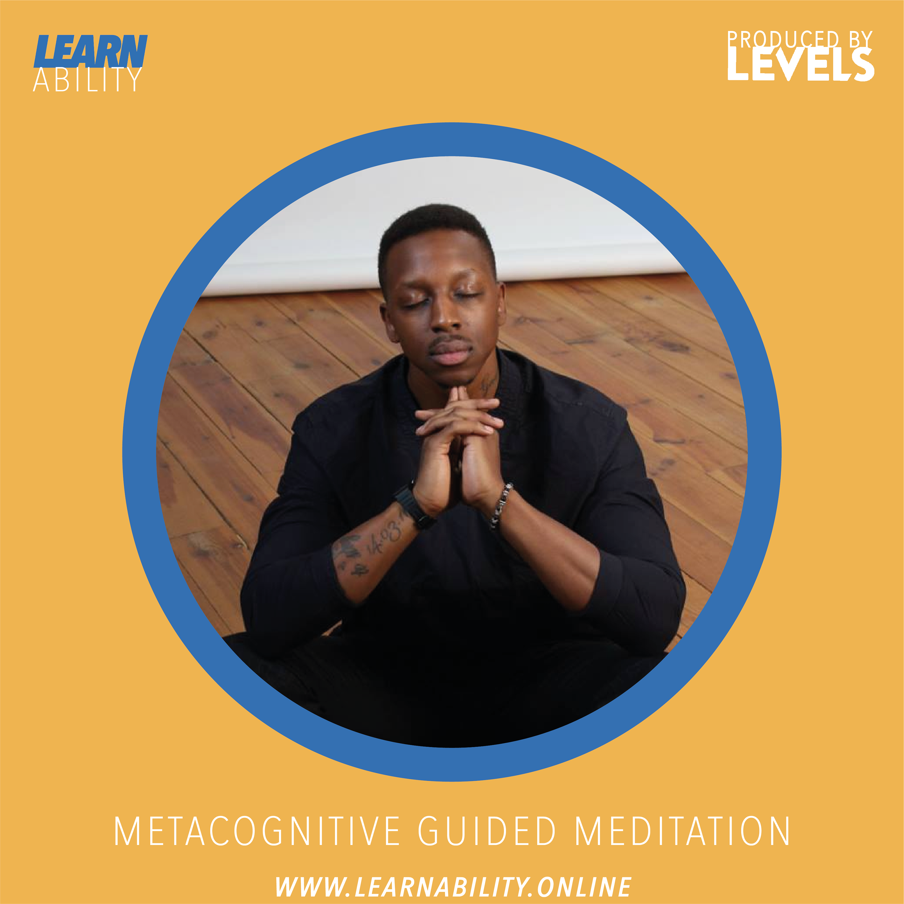Learnability