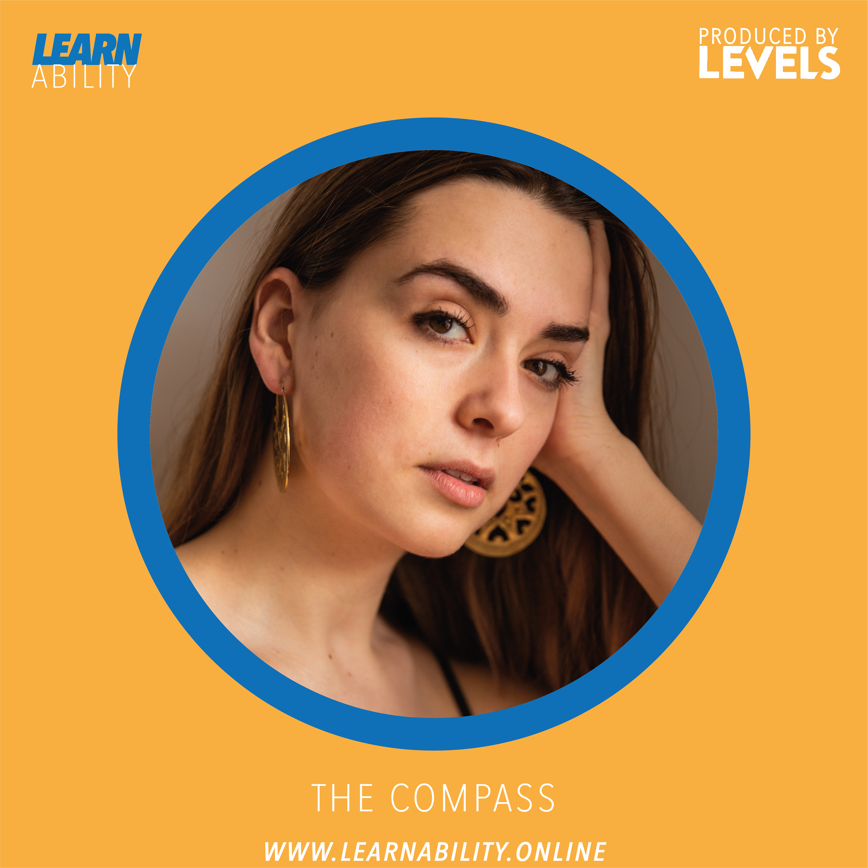 Learnability