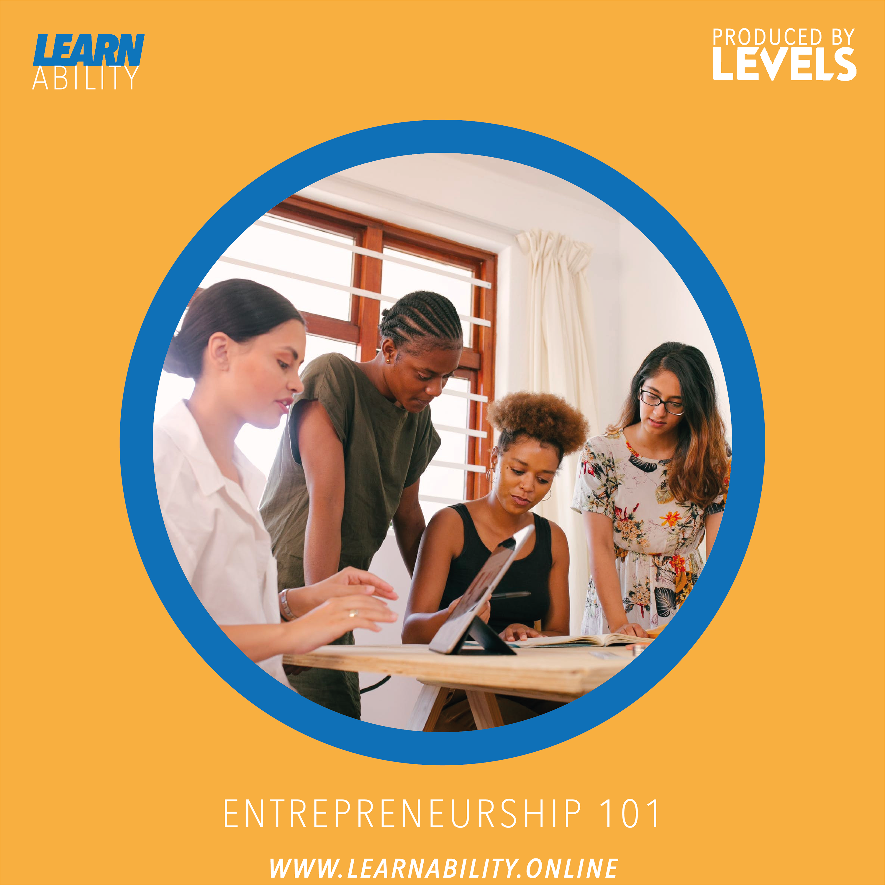 Learnability
