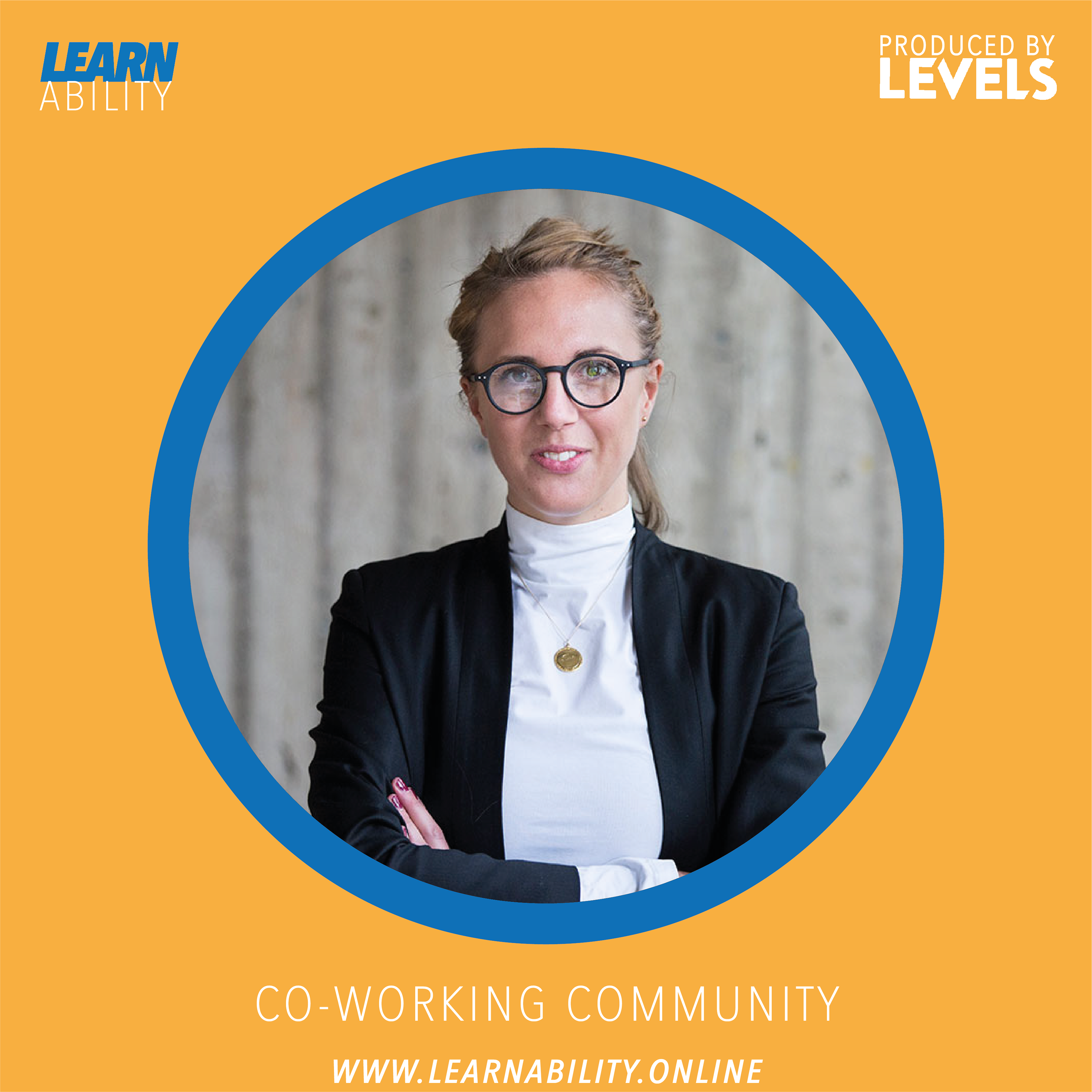 Learnability