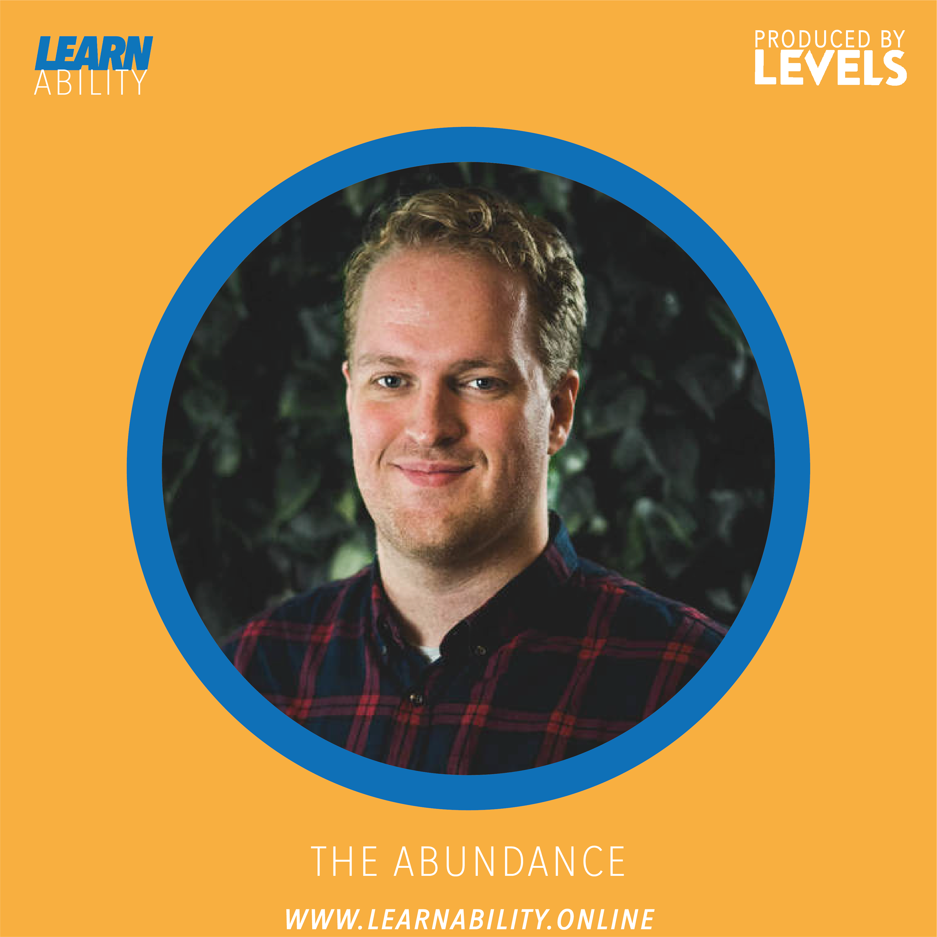 Learnability