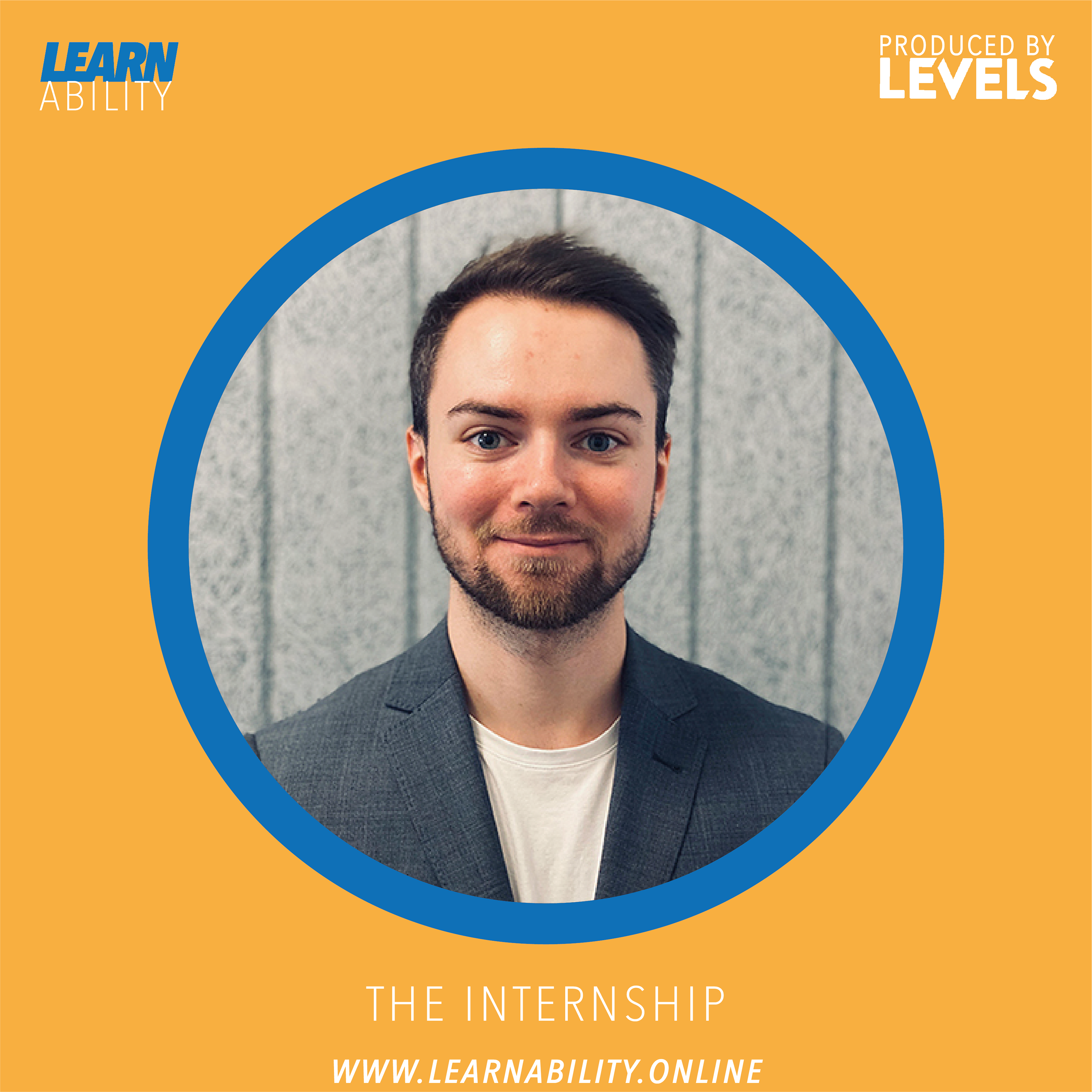 Learnability