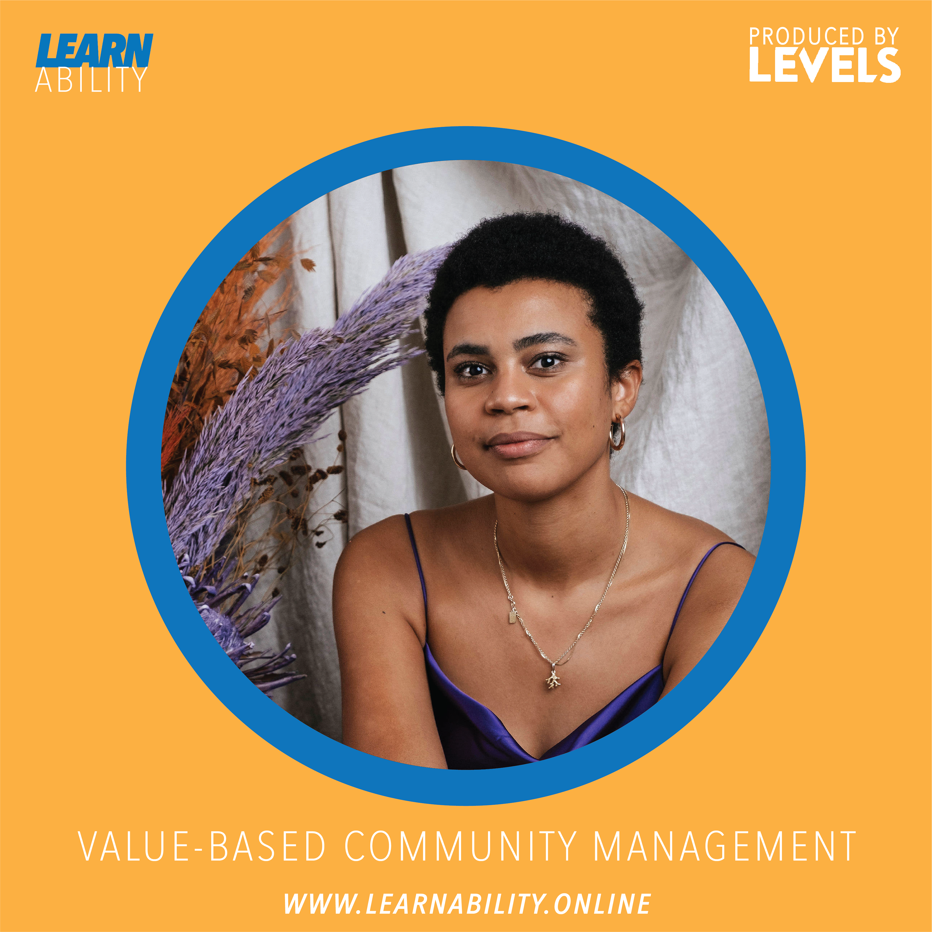 Learnability