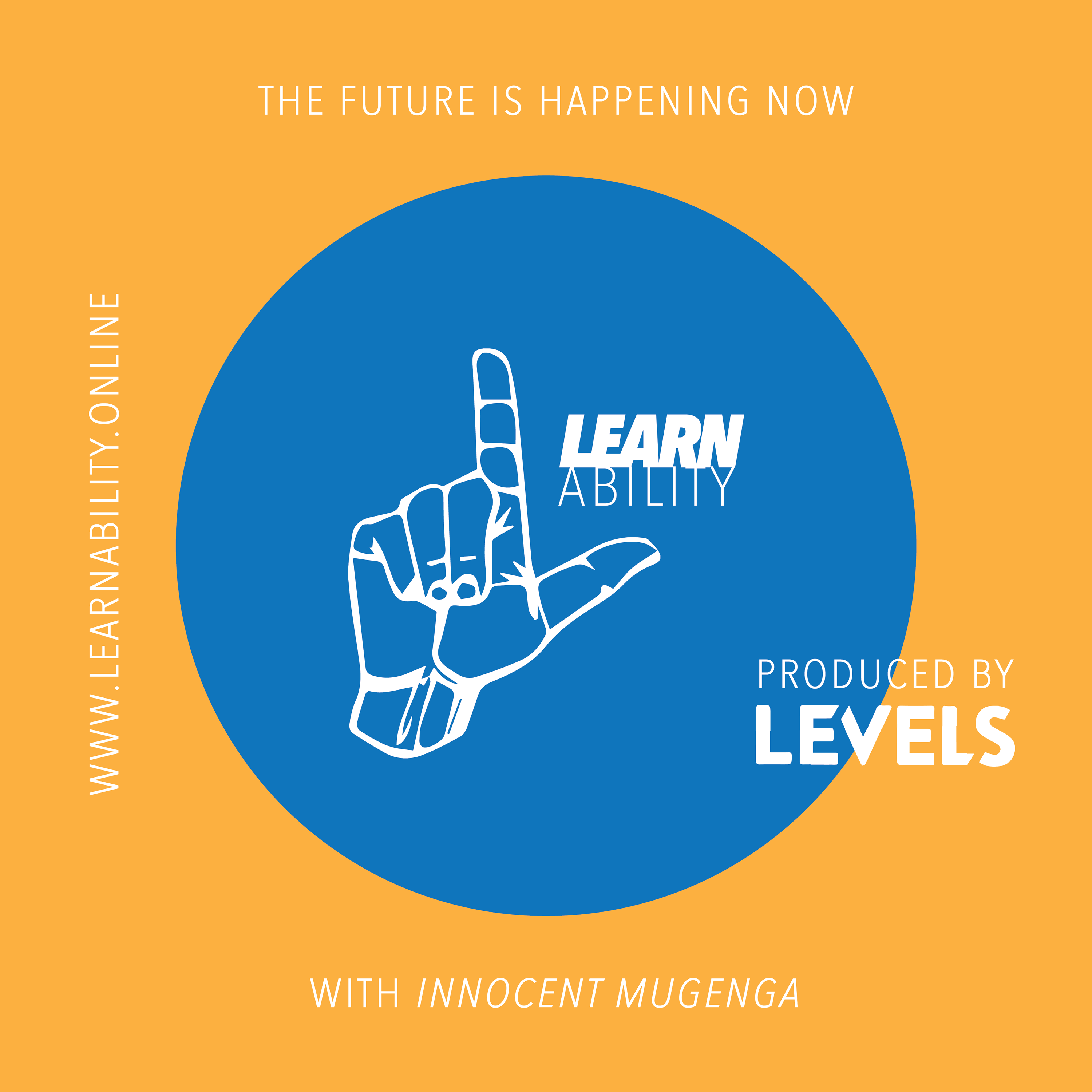 Learnability