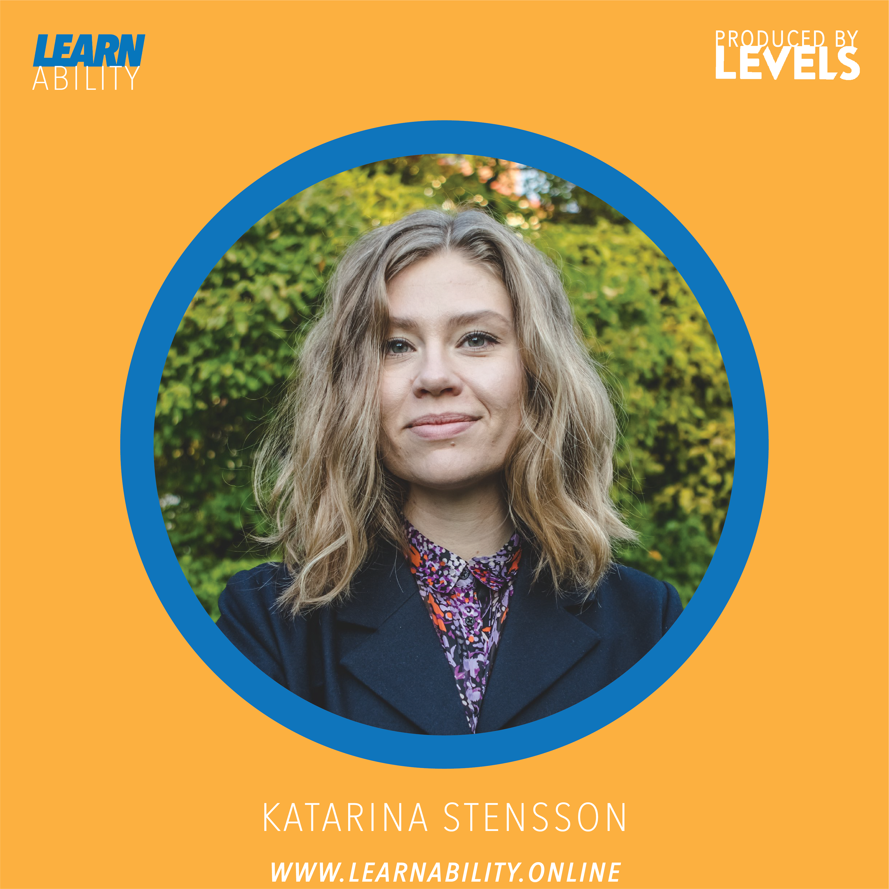 Learnability