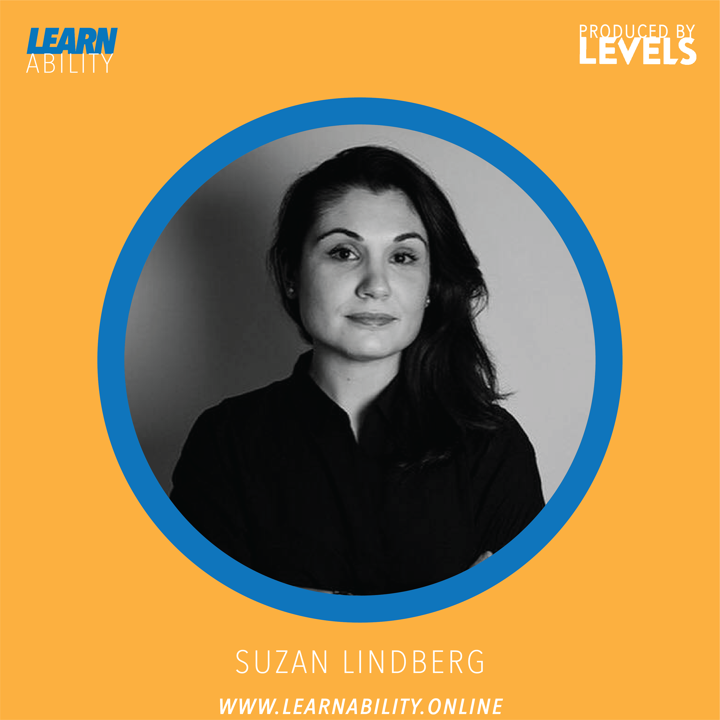 Learnability