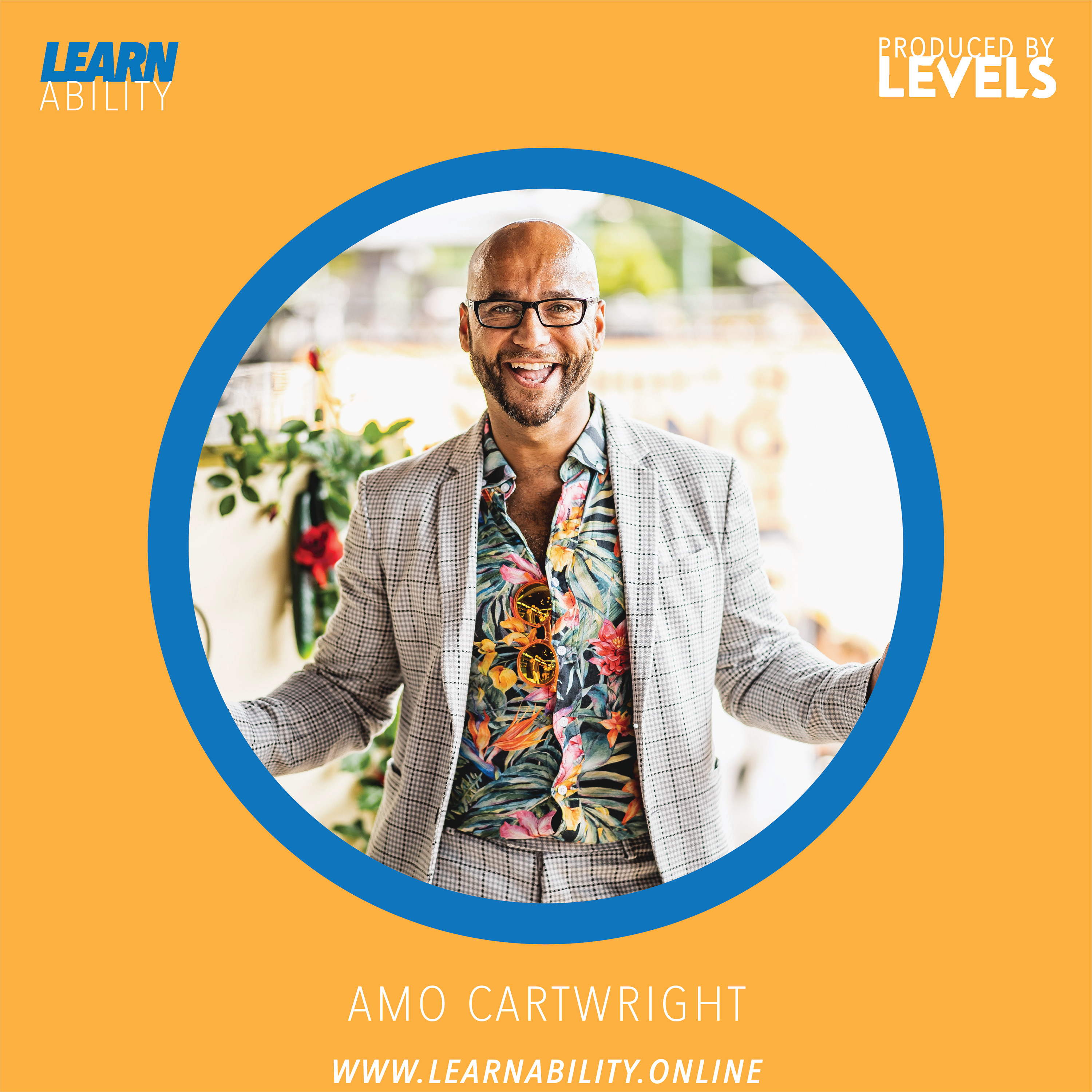 Learnability