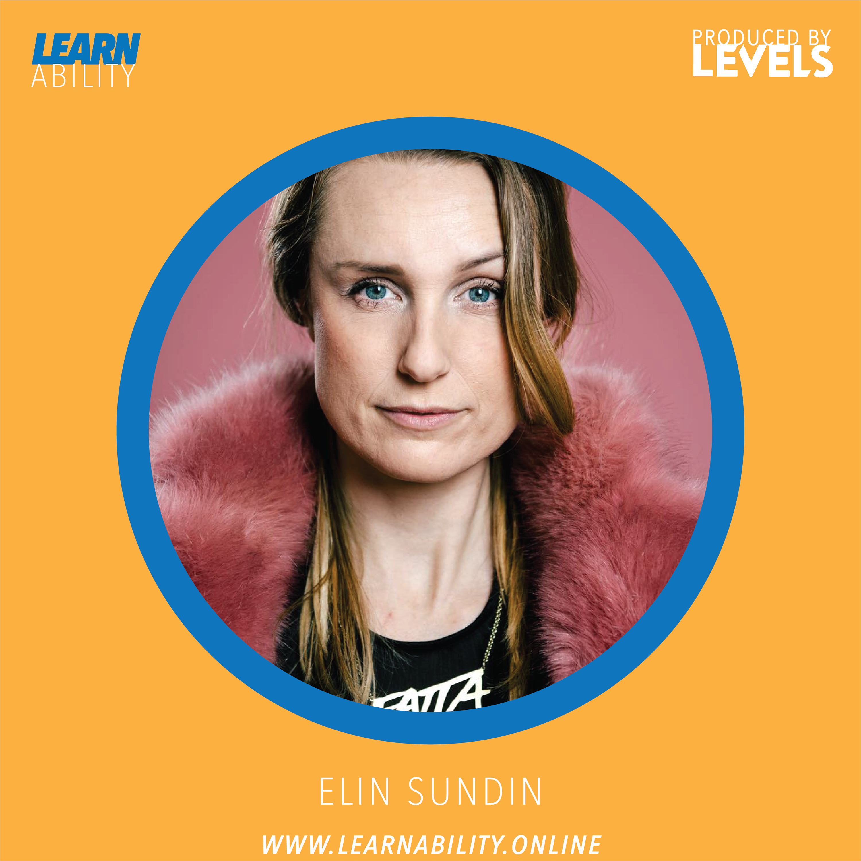 Learnability