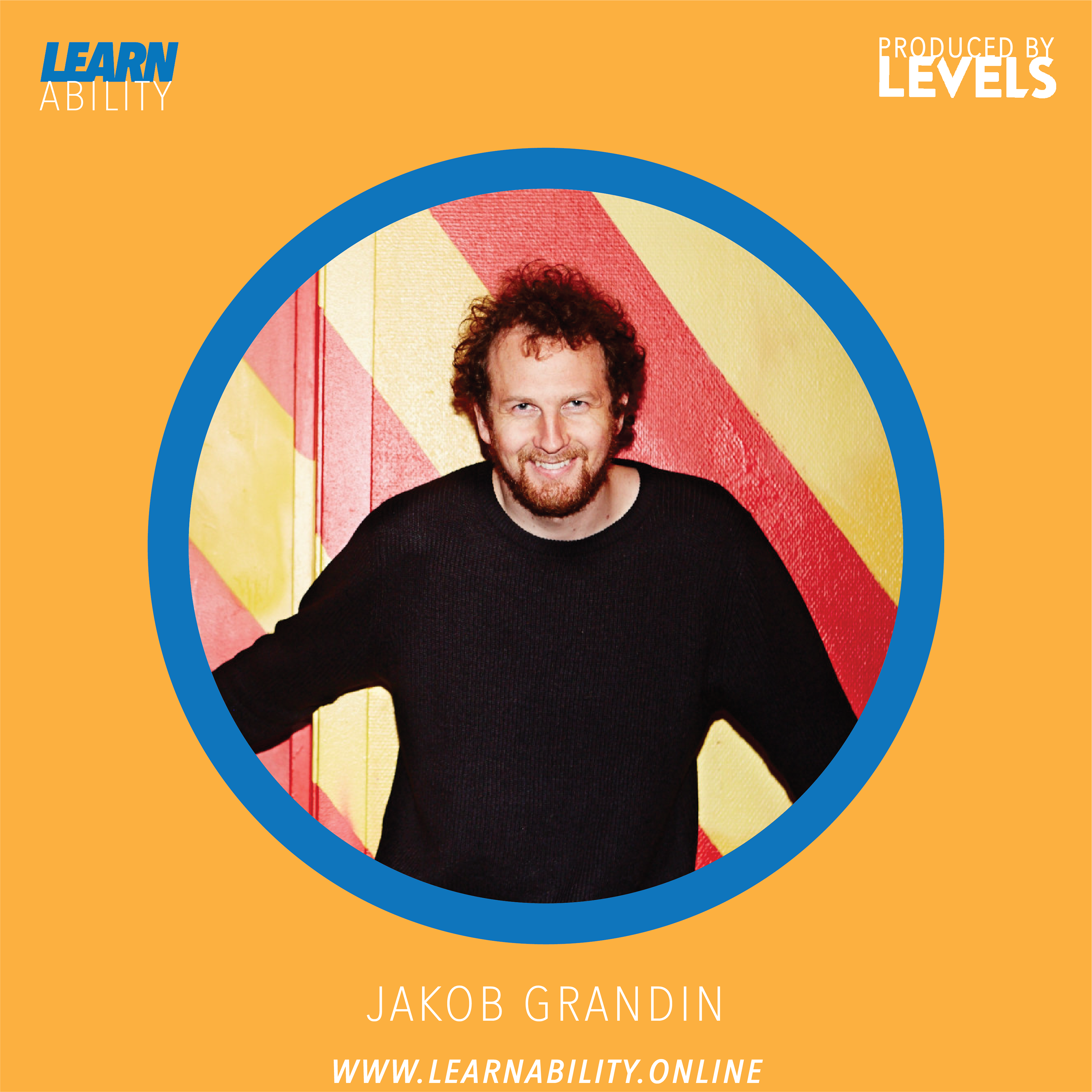 Learnability