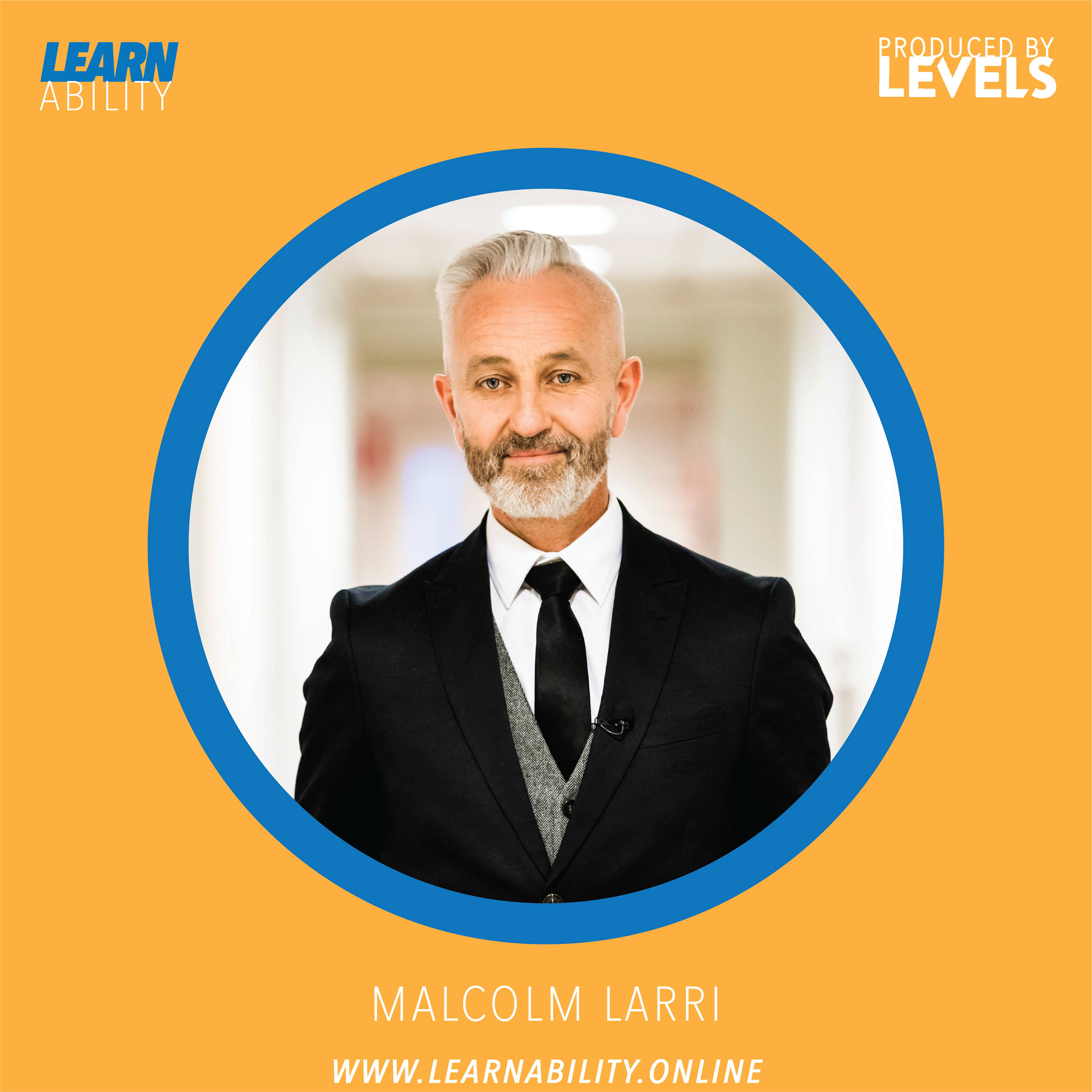 Learnability