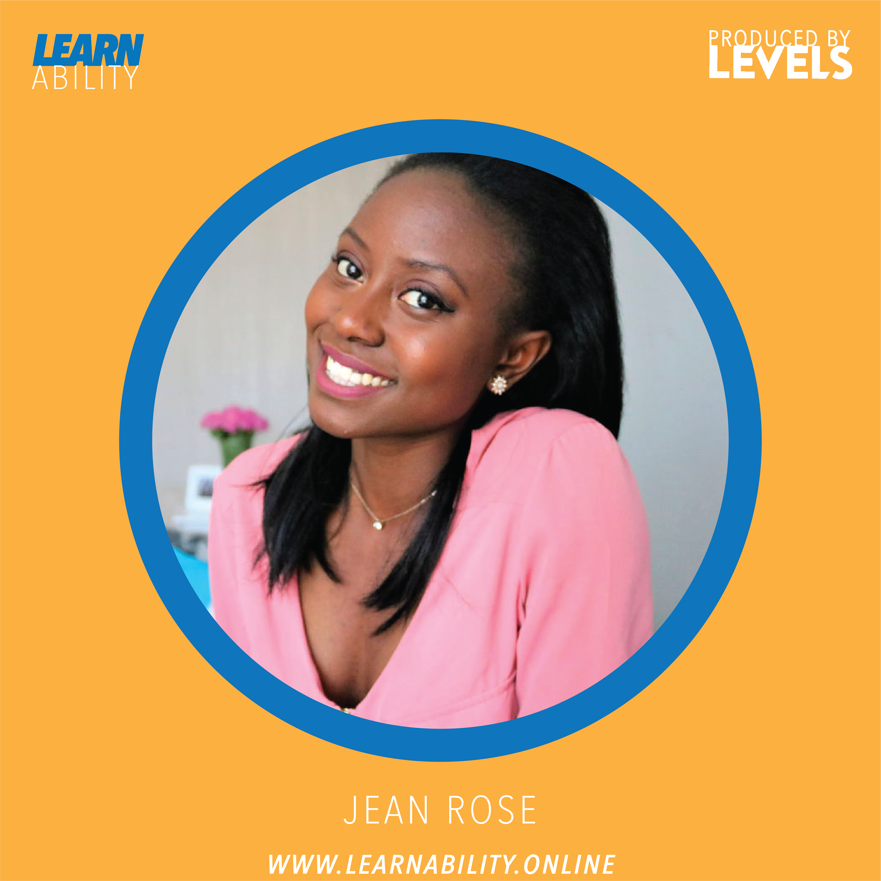 Learnability
