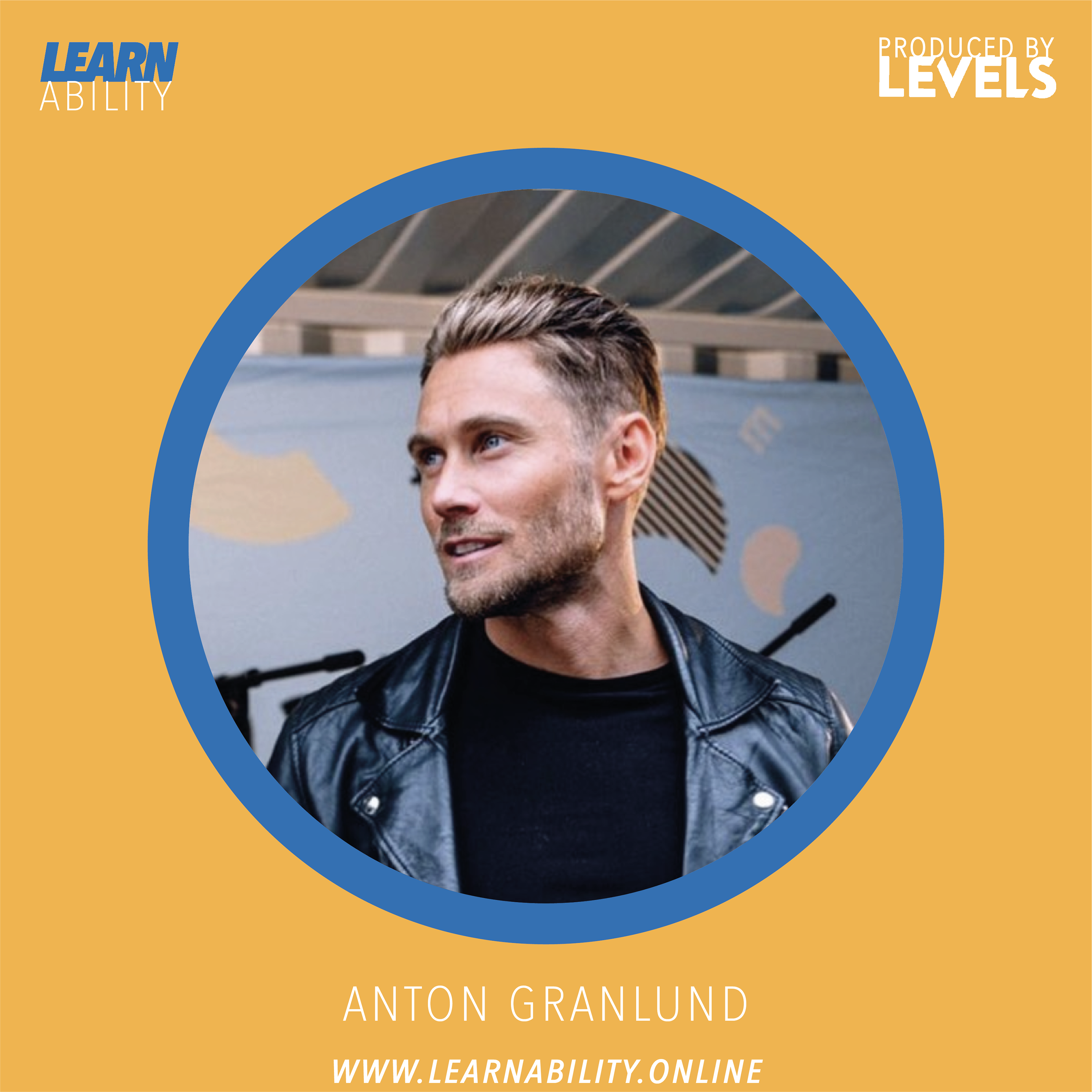 Learnability