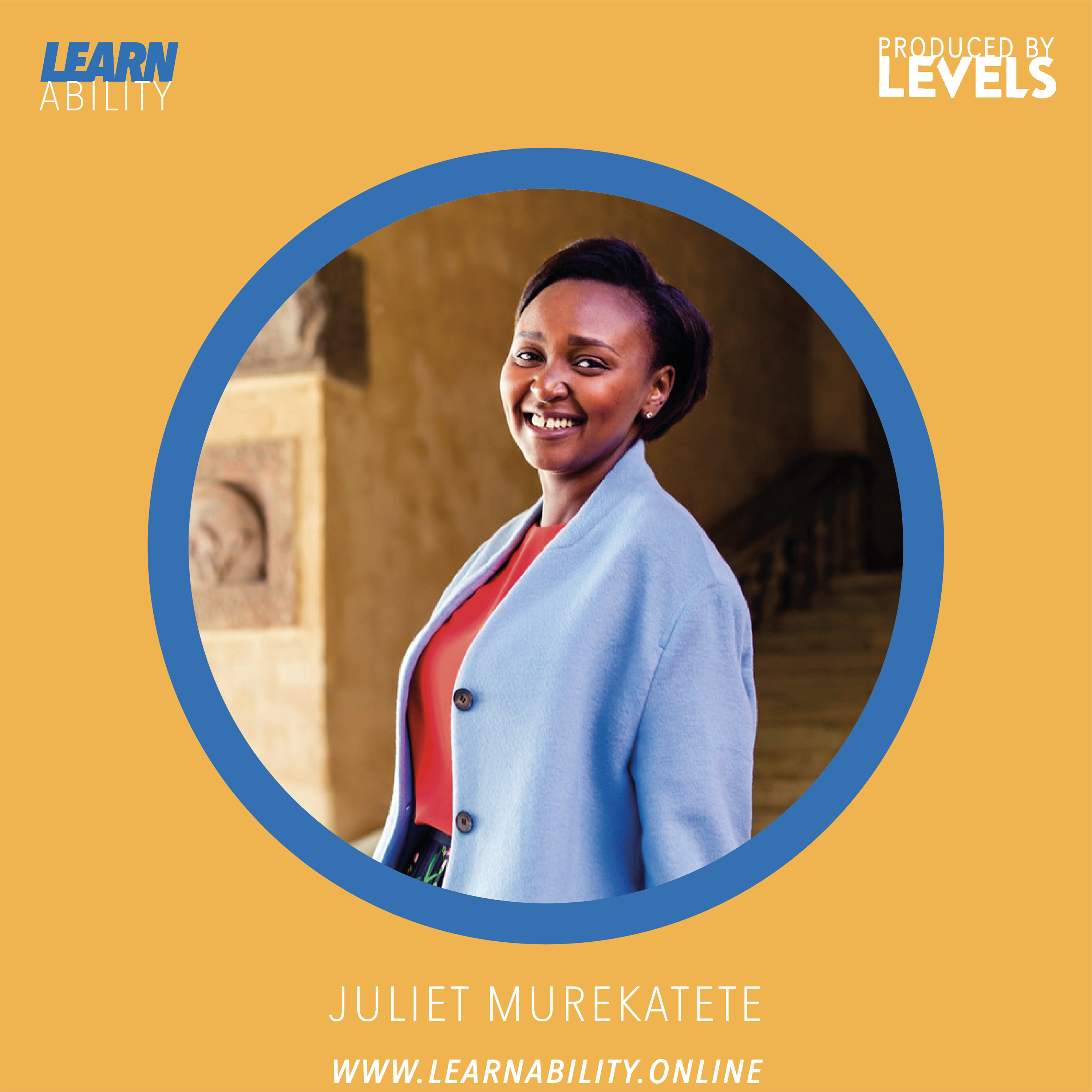 Learnability