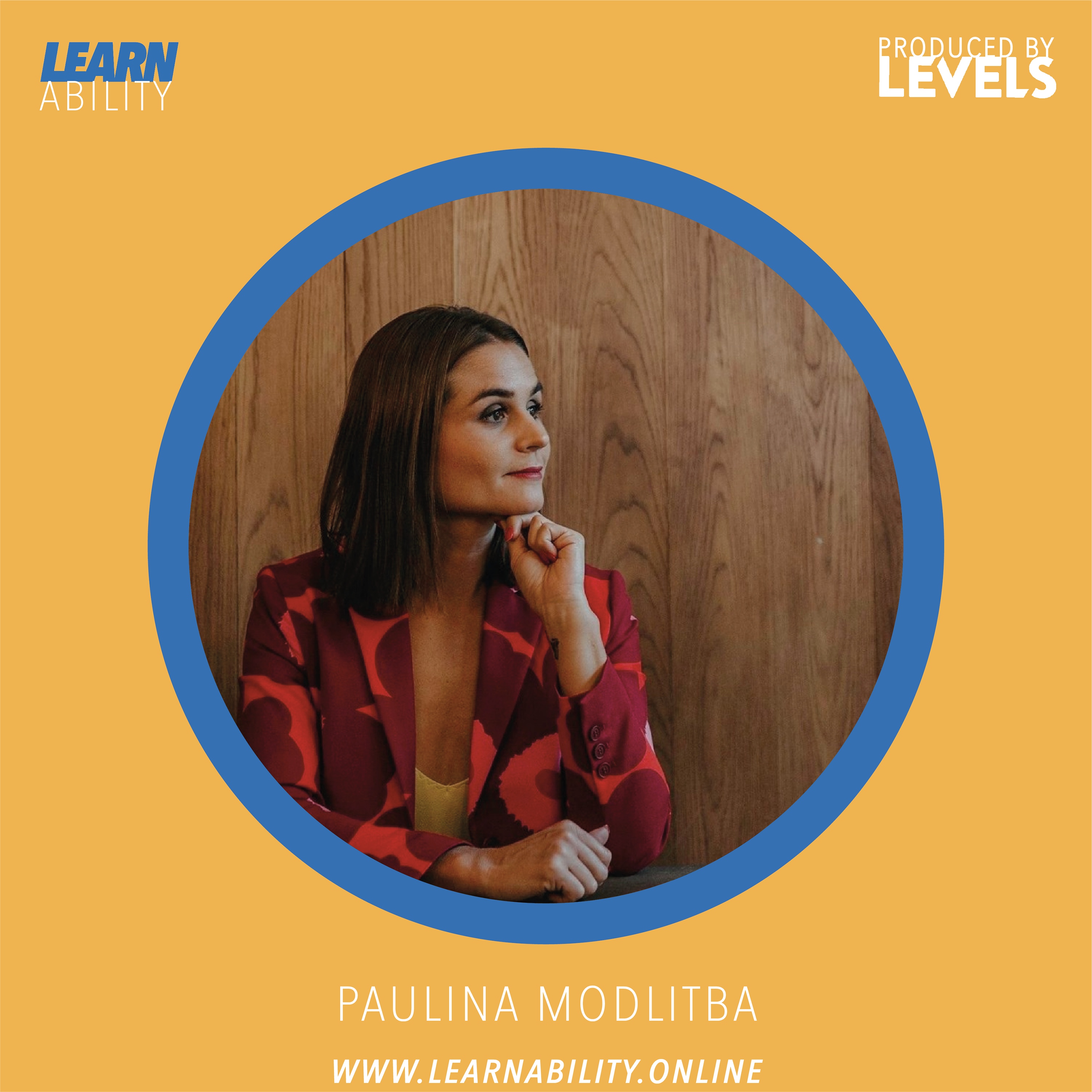 Learnability