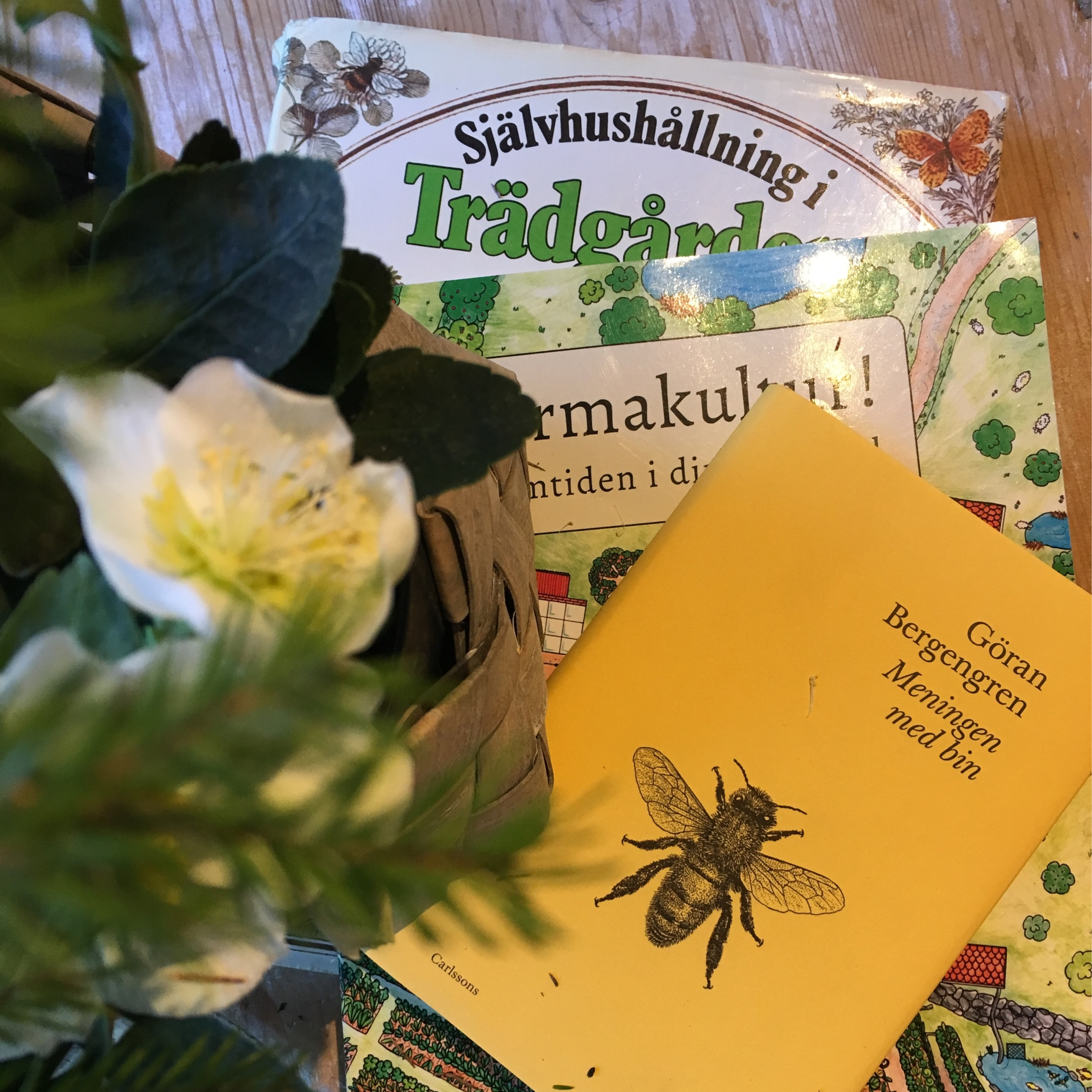 Grönsakslandet
