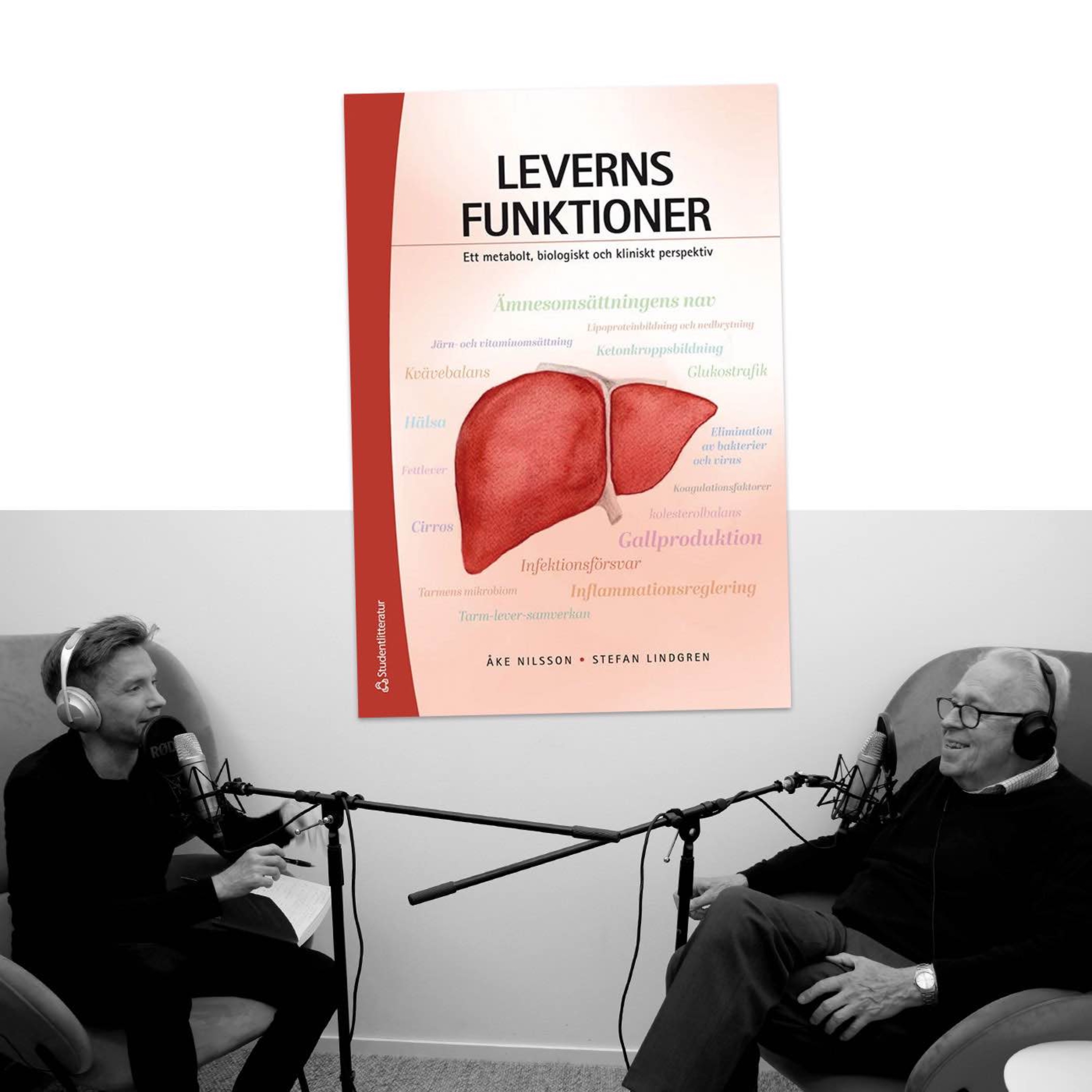 Lära Från Lärda - En fackbok och en författare