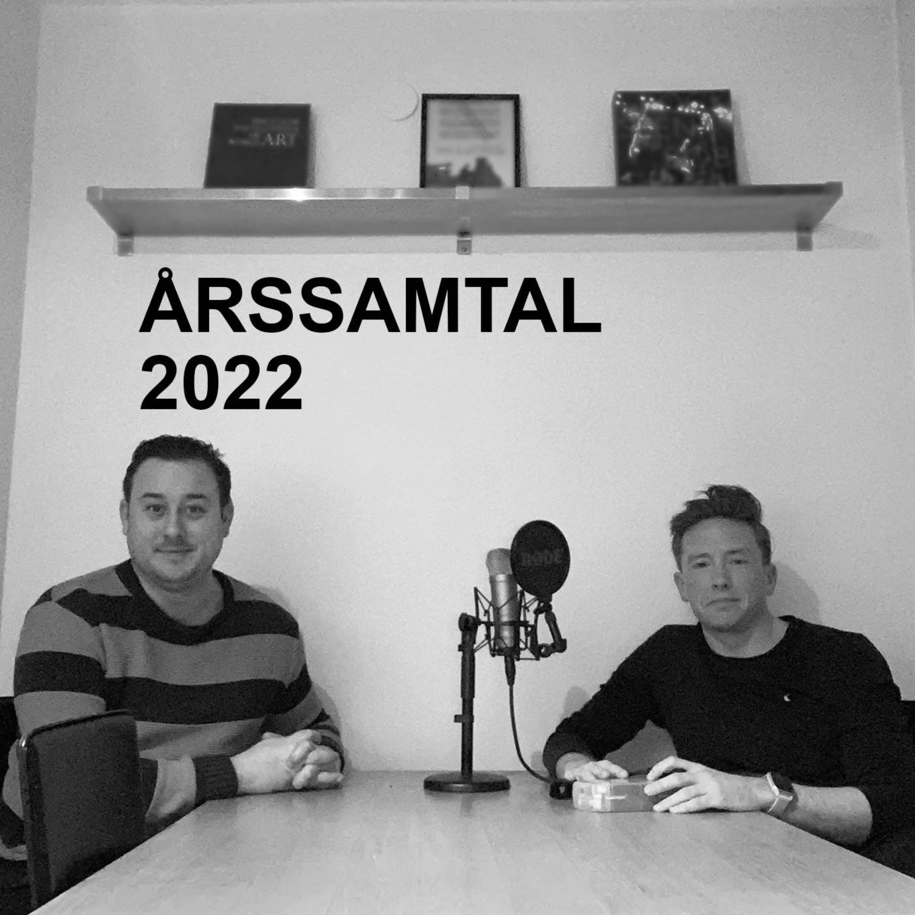 cover art for Specialavsnitt: Årskrönika 2022