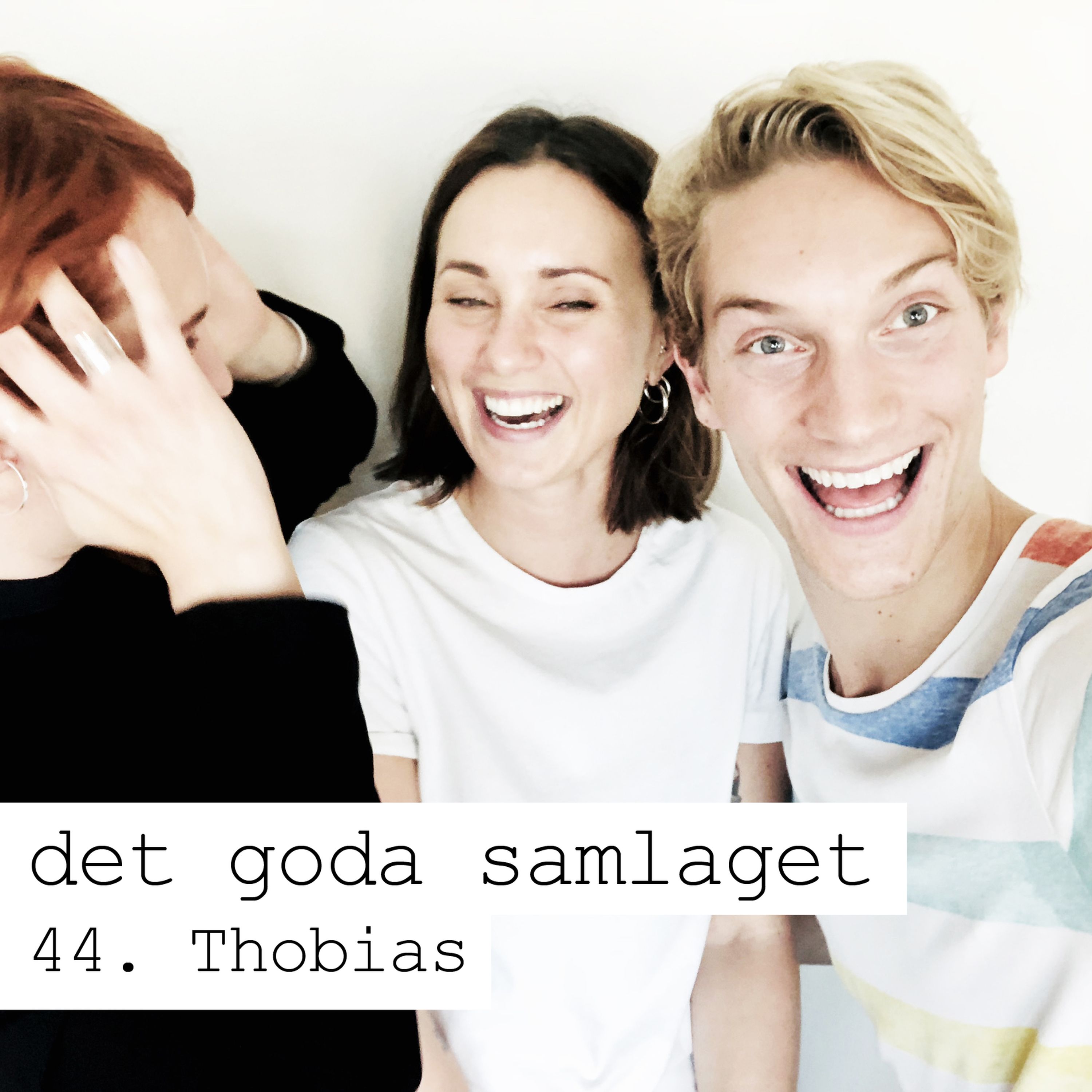 Det Goda Samlaget