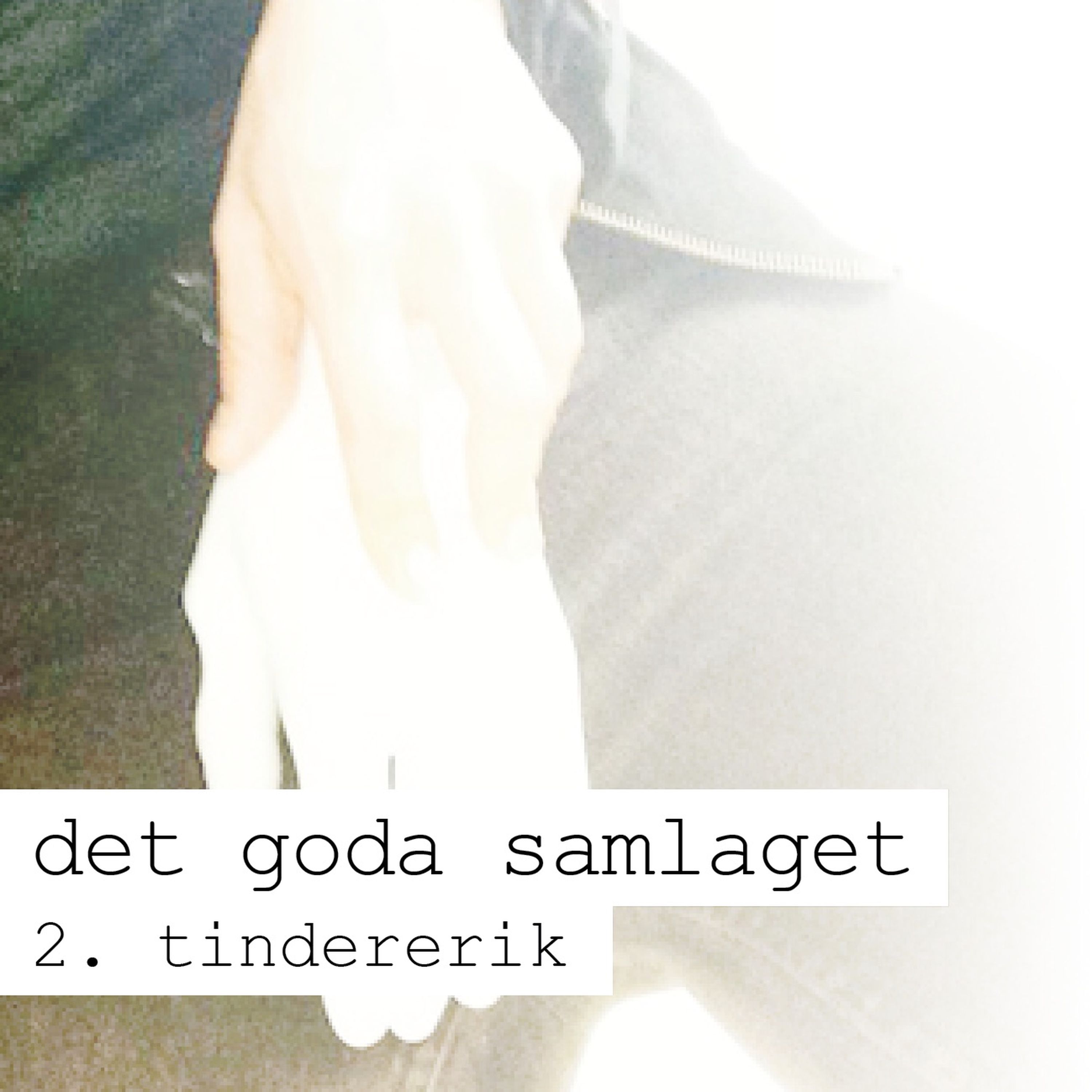 Det Goda Samlaget
