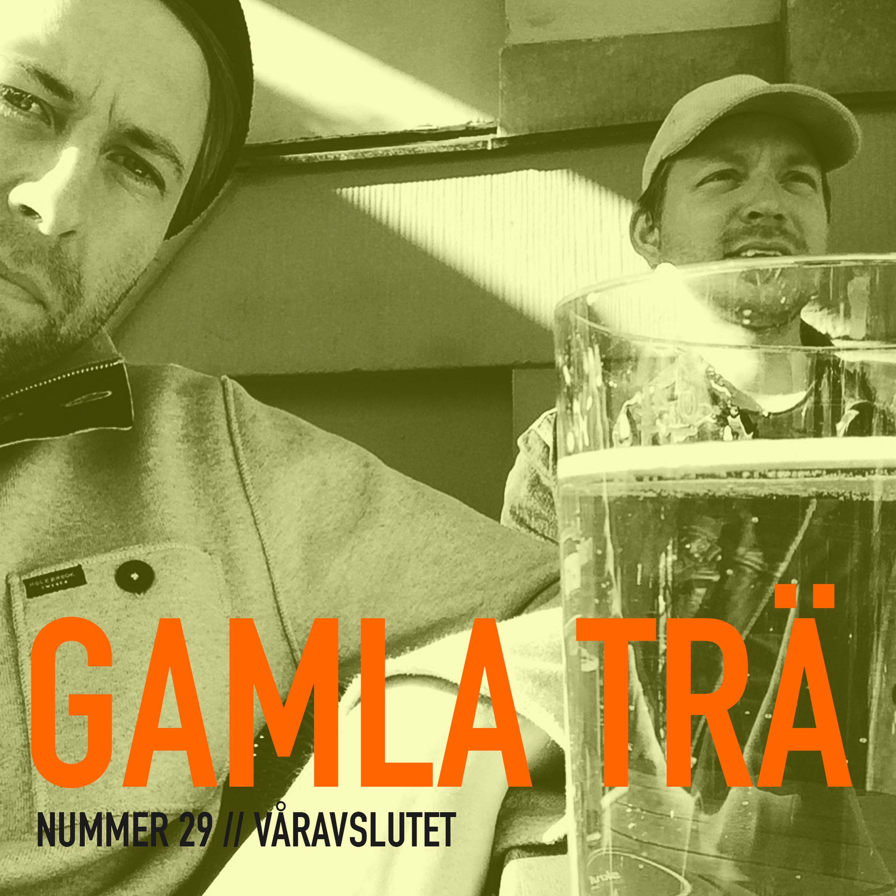 Gamla Trä – Ett Radioprogram om Svartvit Kärlek