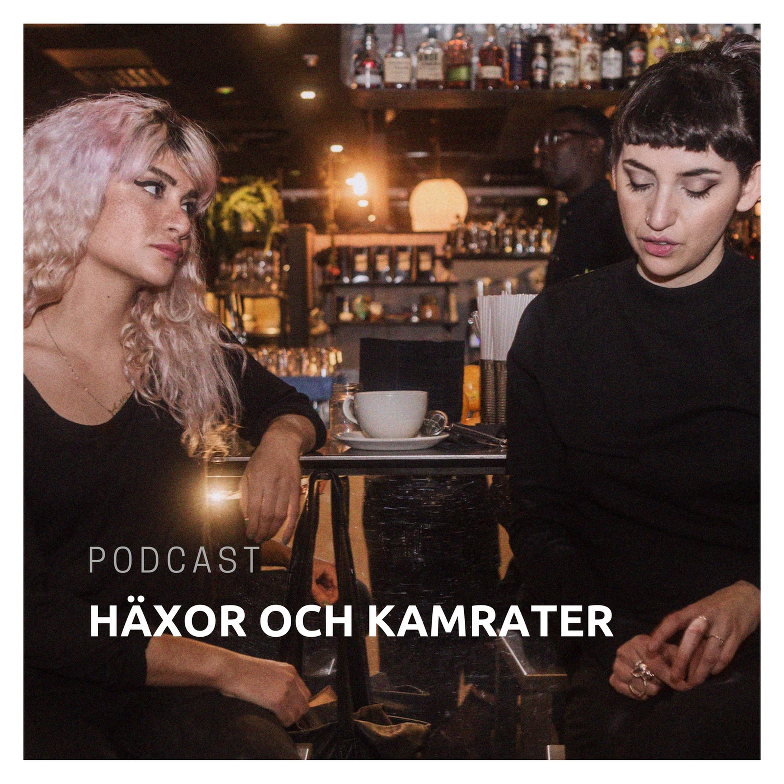 Häxor och kamrater