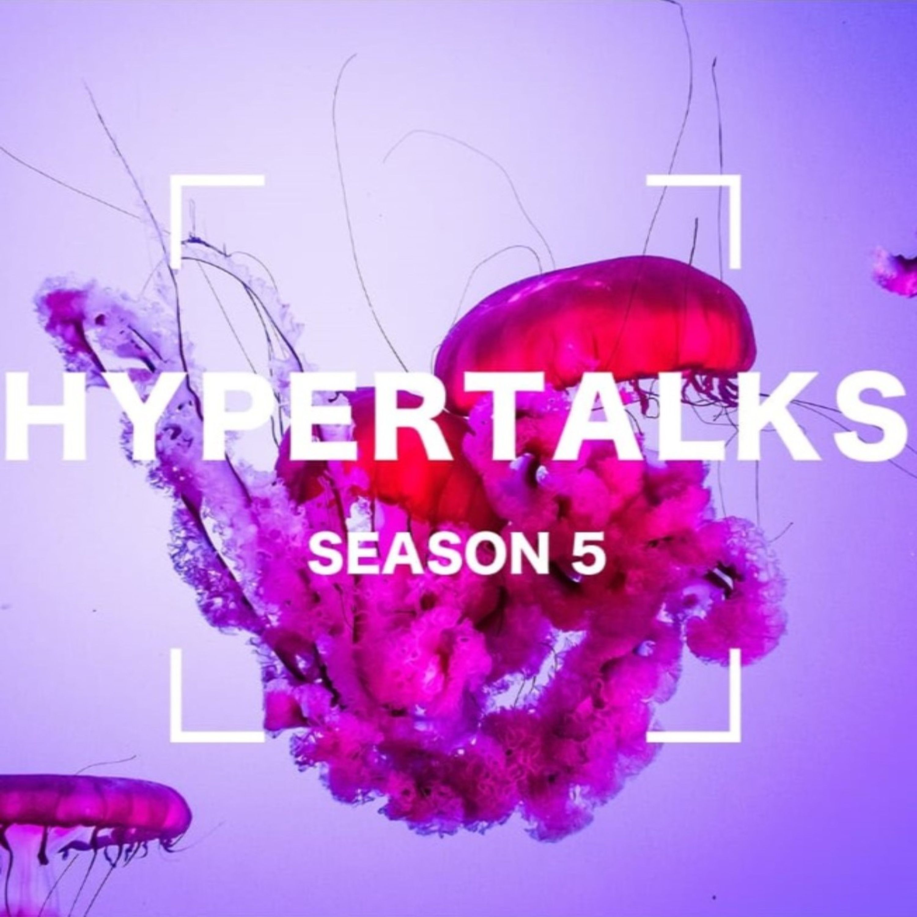 HyperTalks