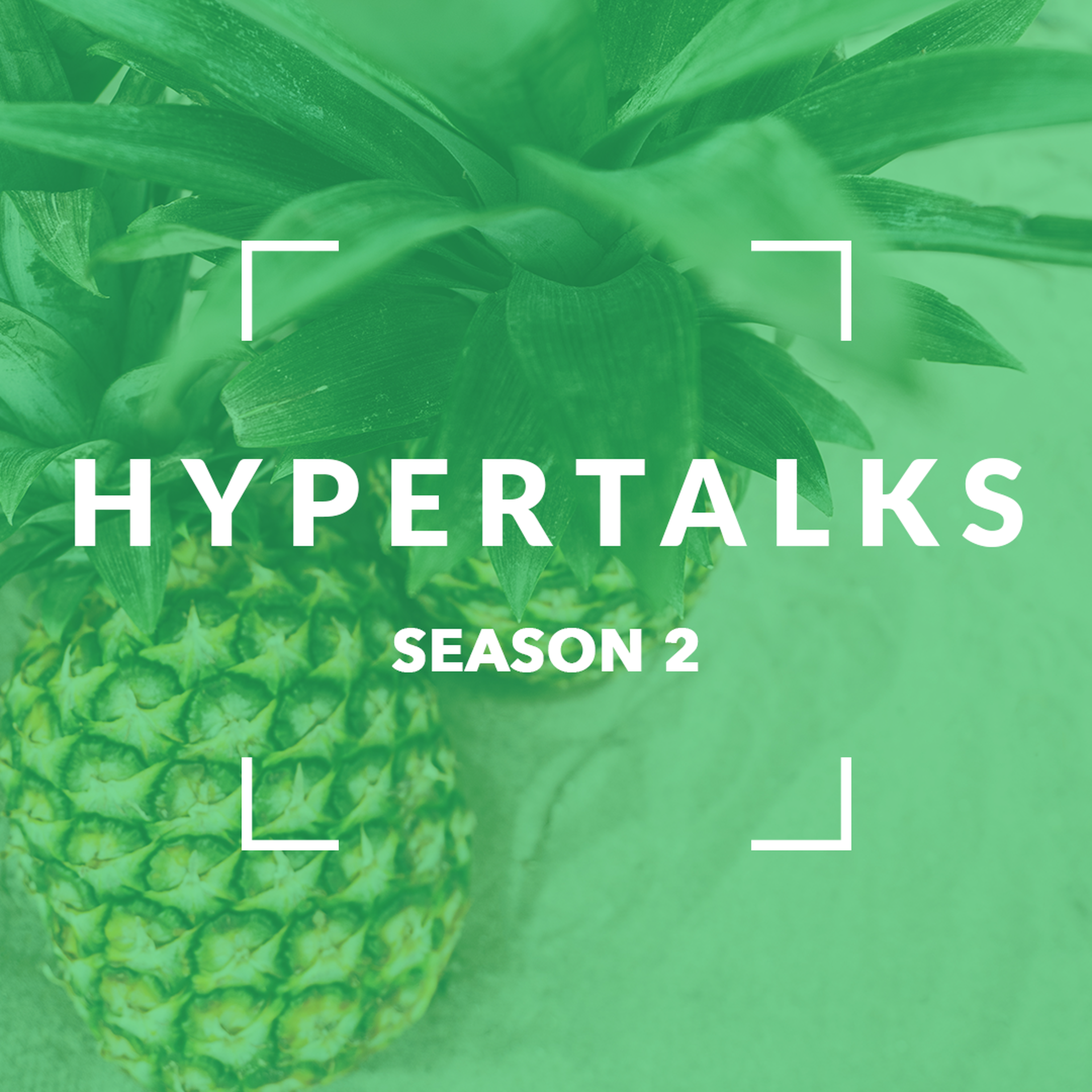 HyperTalks