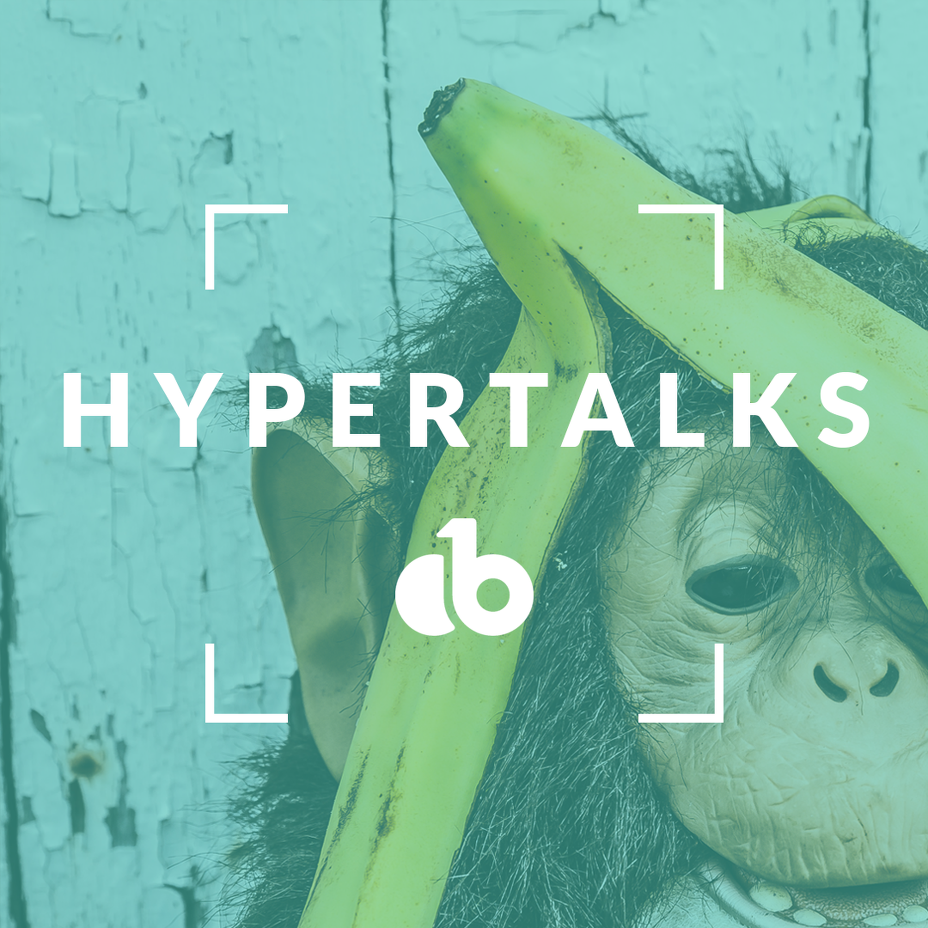 HyperTalks