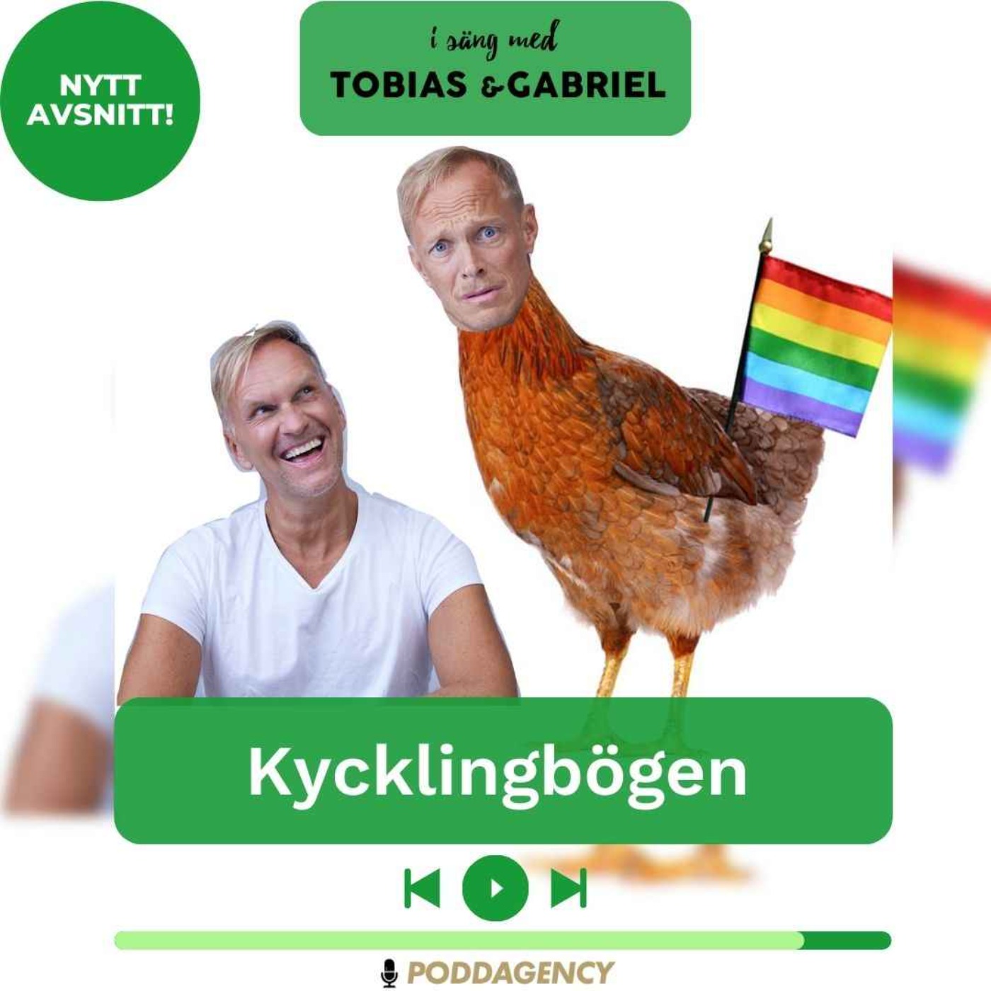 cover art for 374. Kycklingbögen